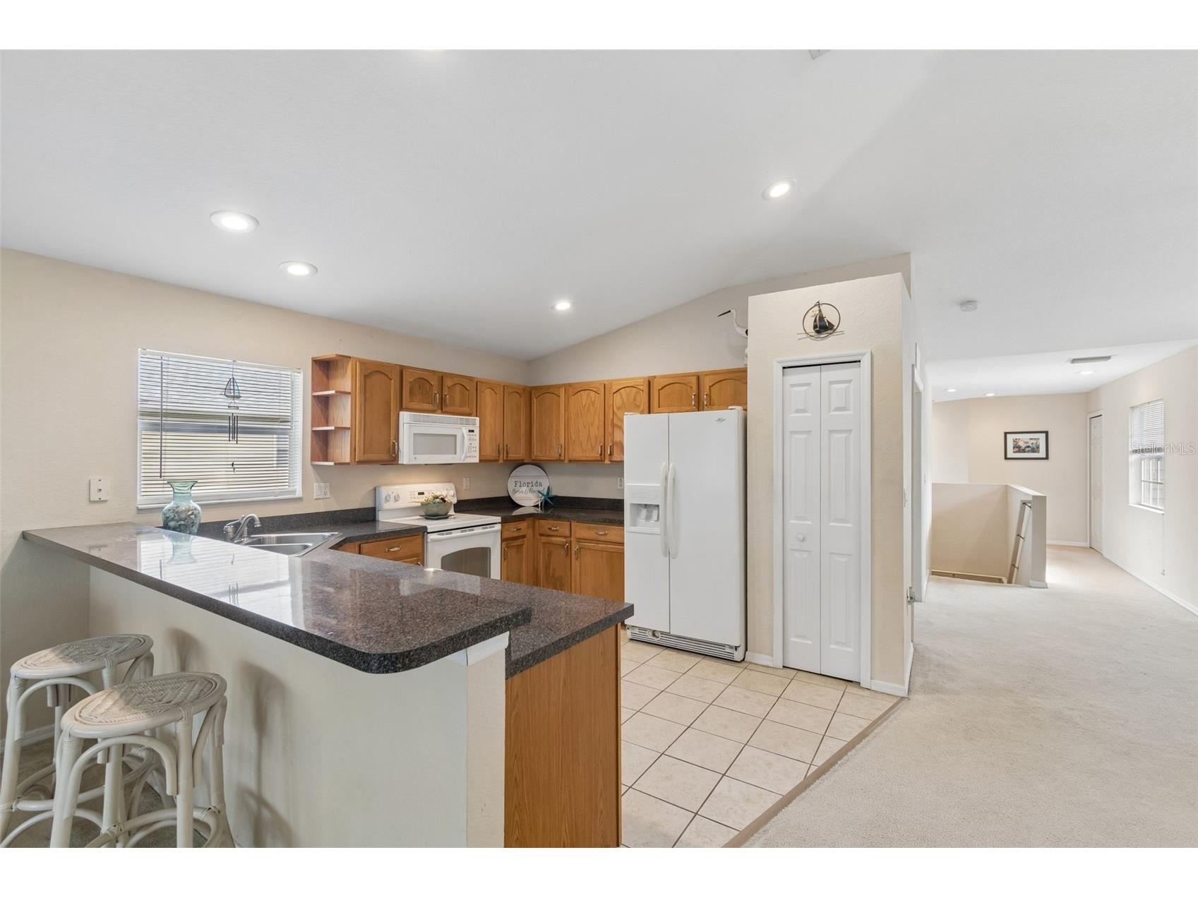 1633 Hammocks Avenue #1633 Lutz FL 33549 - 54-ACRE BIRD LAKE TB8504741 image10