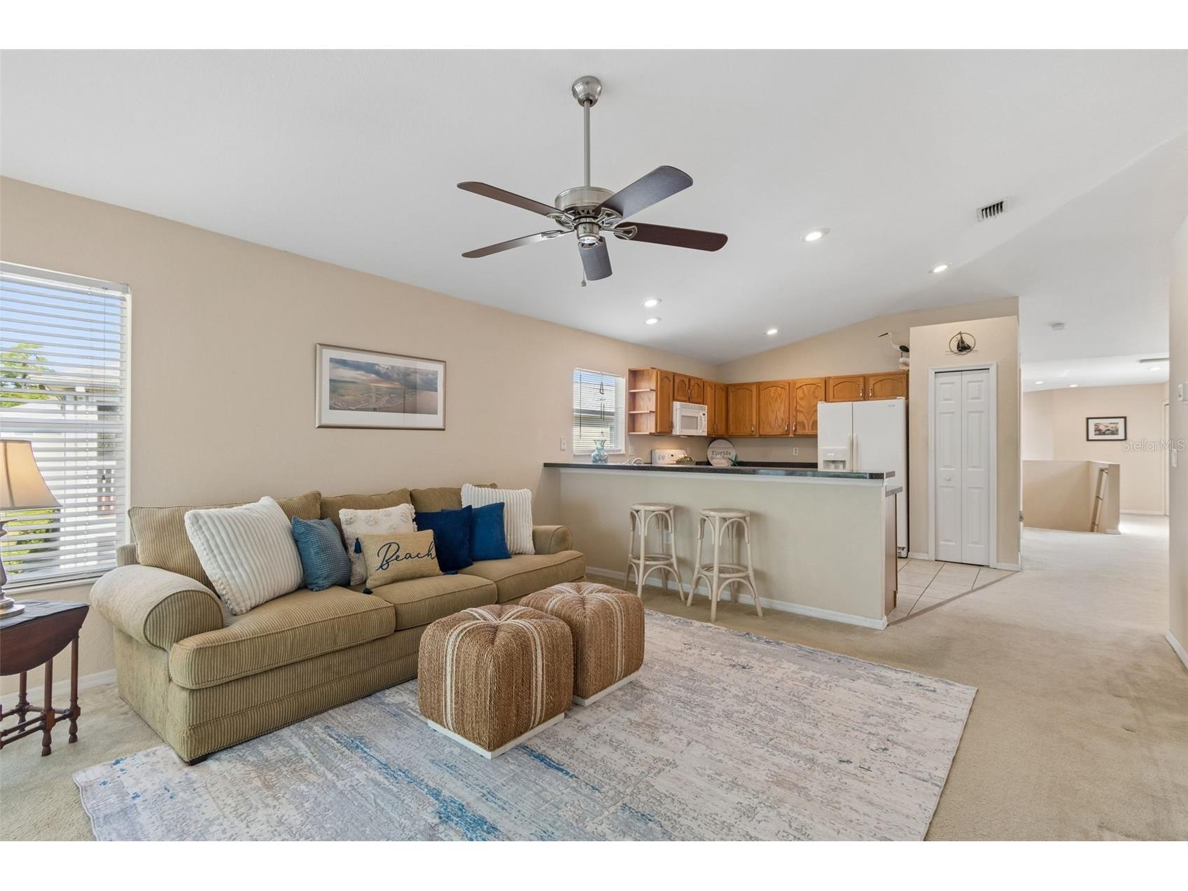 1633 Hammocks Avenue #1633 Lutz FL 33549 - 54-ACRE BIRD LAKE TB8504741 image17