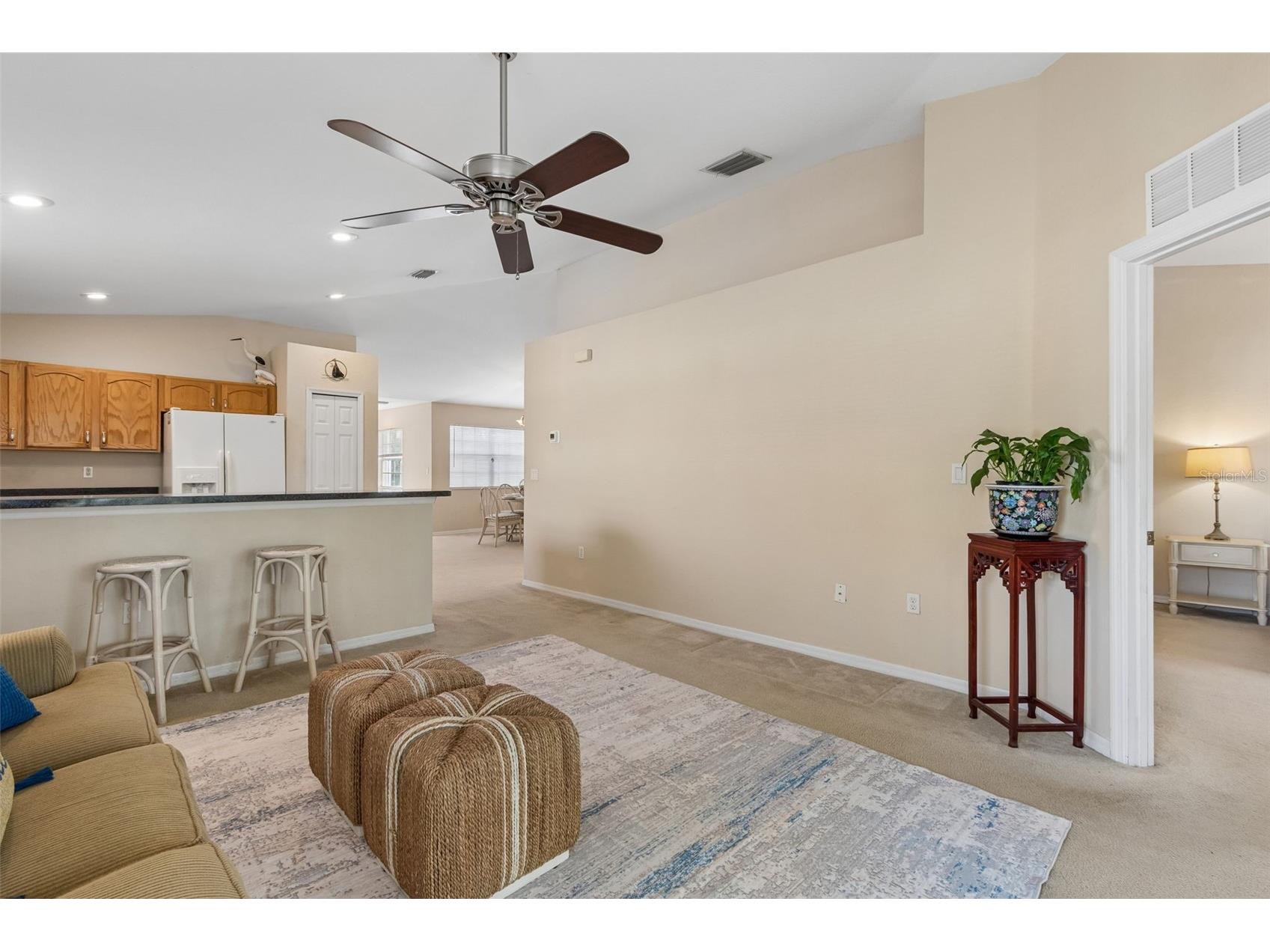 1633 Hammocks Avenue #1633 Lutz FL 33549 - 54-ACRE BIRD LAKE TB8504741 image18