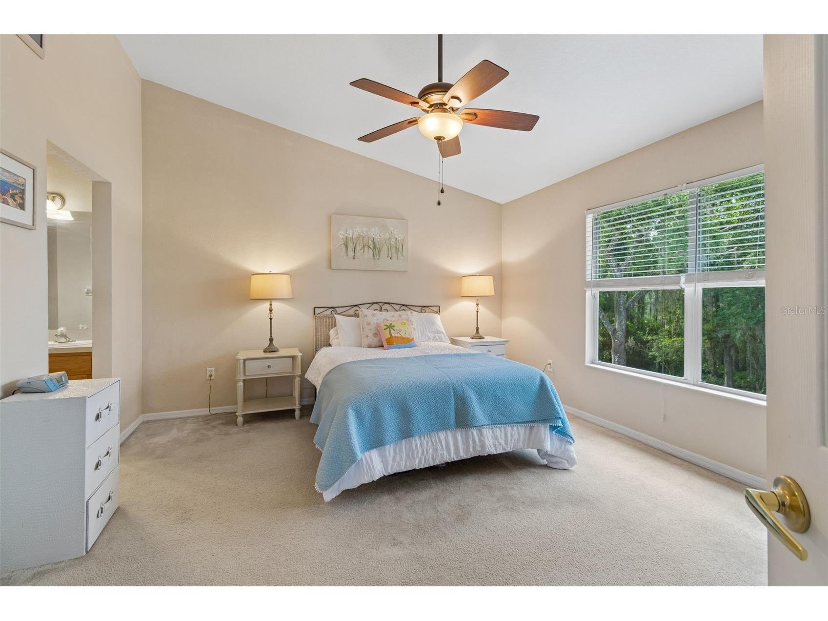 1633 Hammocks Avenue #1633 Lutz FL 33549 - 54-ACRE BIRD LAKE TB8504741 image19