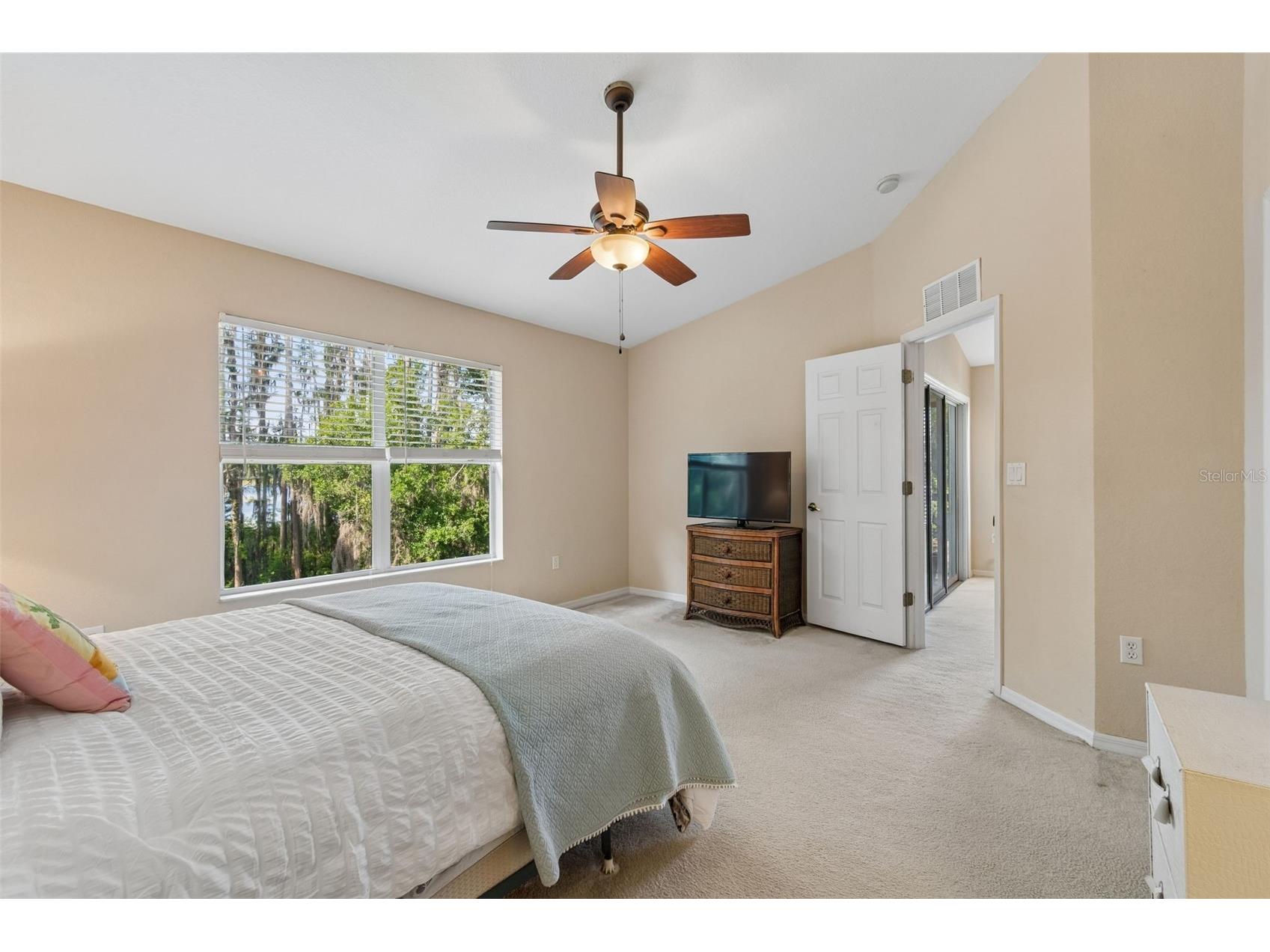 1633 Hammocks Avenue #1633 Lutz FL 33549 - 54-ACRE BIRD LAKE TB8504741 image20