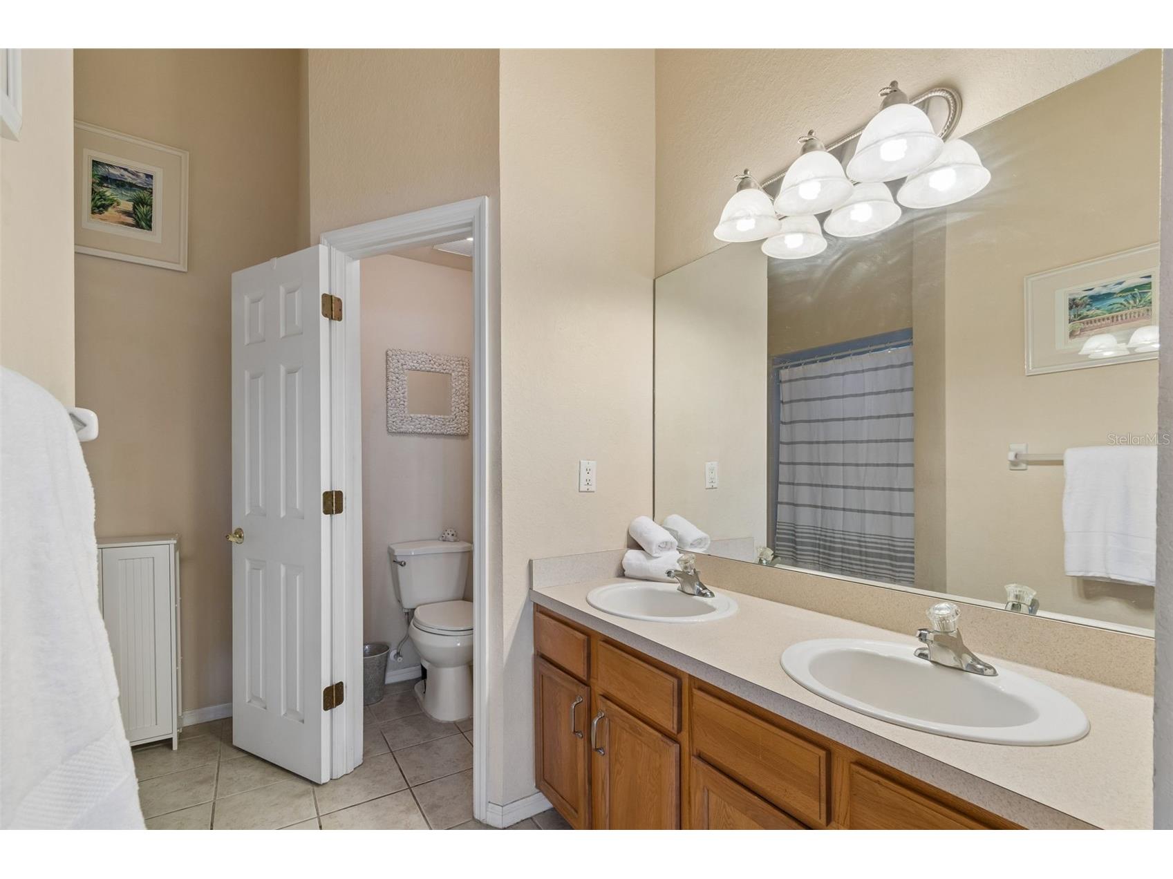 1633 Hammocks Avenue #1633 Lutz FL 33549 - 54-ACRE BIRD LAKE TB8504741 image23