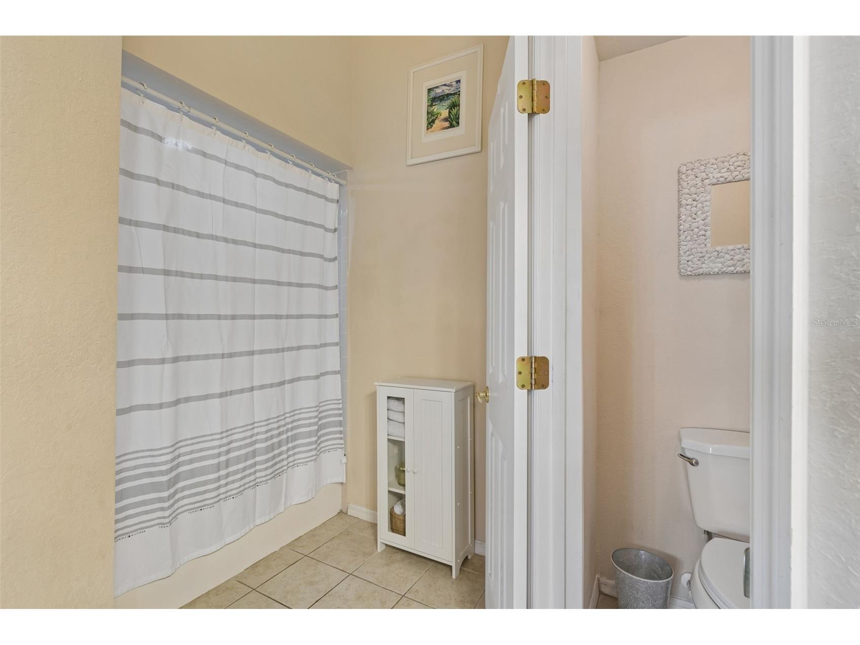 1633 Hammocks Avenue #1633 Lutz FL 33549 - 54-ACRE BIRD LAKE TB8504741 image25
