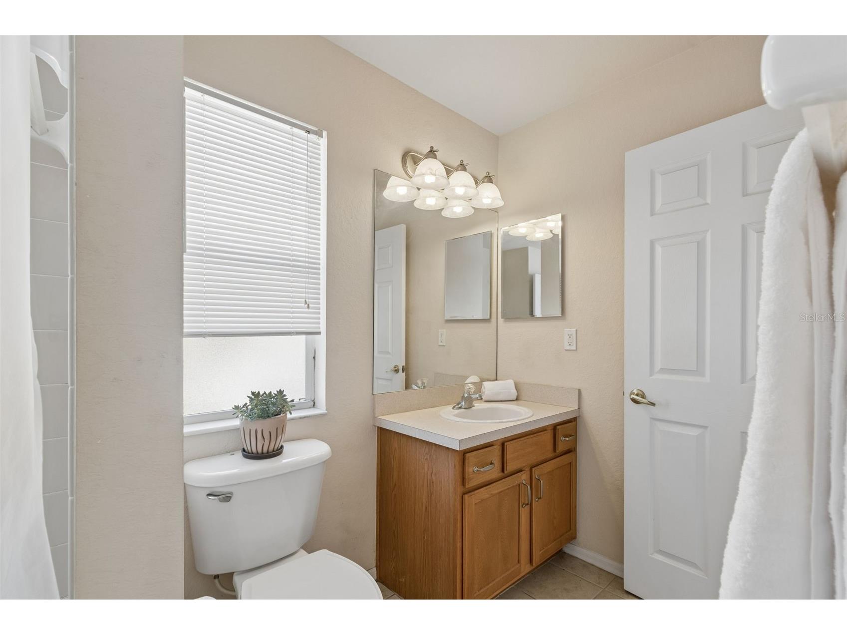 1633 Hammocks Avenue #1633 Lutz FL 33549 - 54-ACRE BIRD LAKE TB8504741 image31
