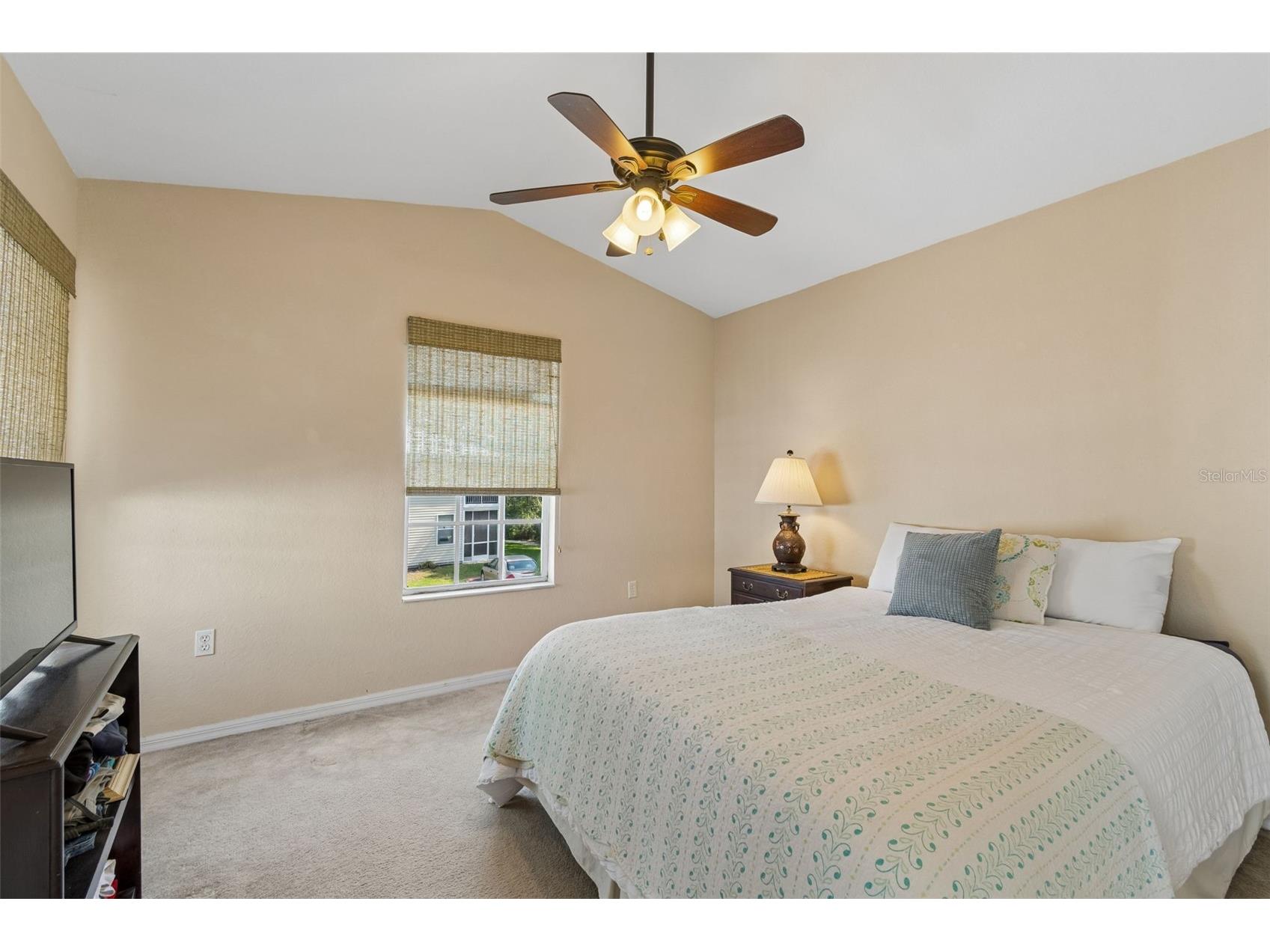 1633 Hammocks Avenue #1633 Lutz FL 33549 - 54-ACRE BIRD LAKE TB8504741 image33