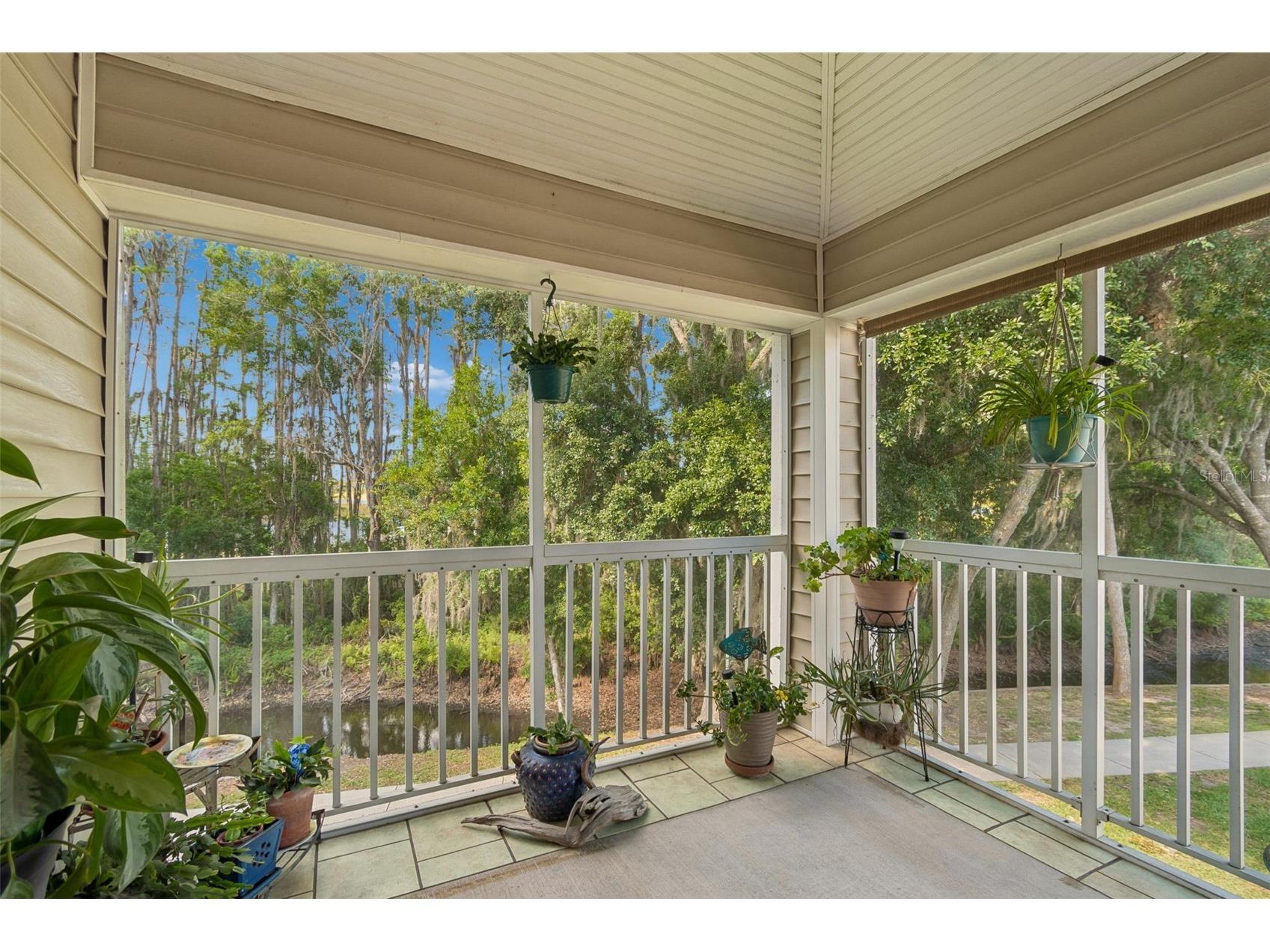 1633 Hammocks Avenue #1633 Lutz FL 33549 - 54-ACRE BIRD LAKE TB8504741 image37
