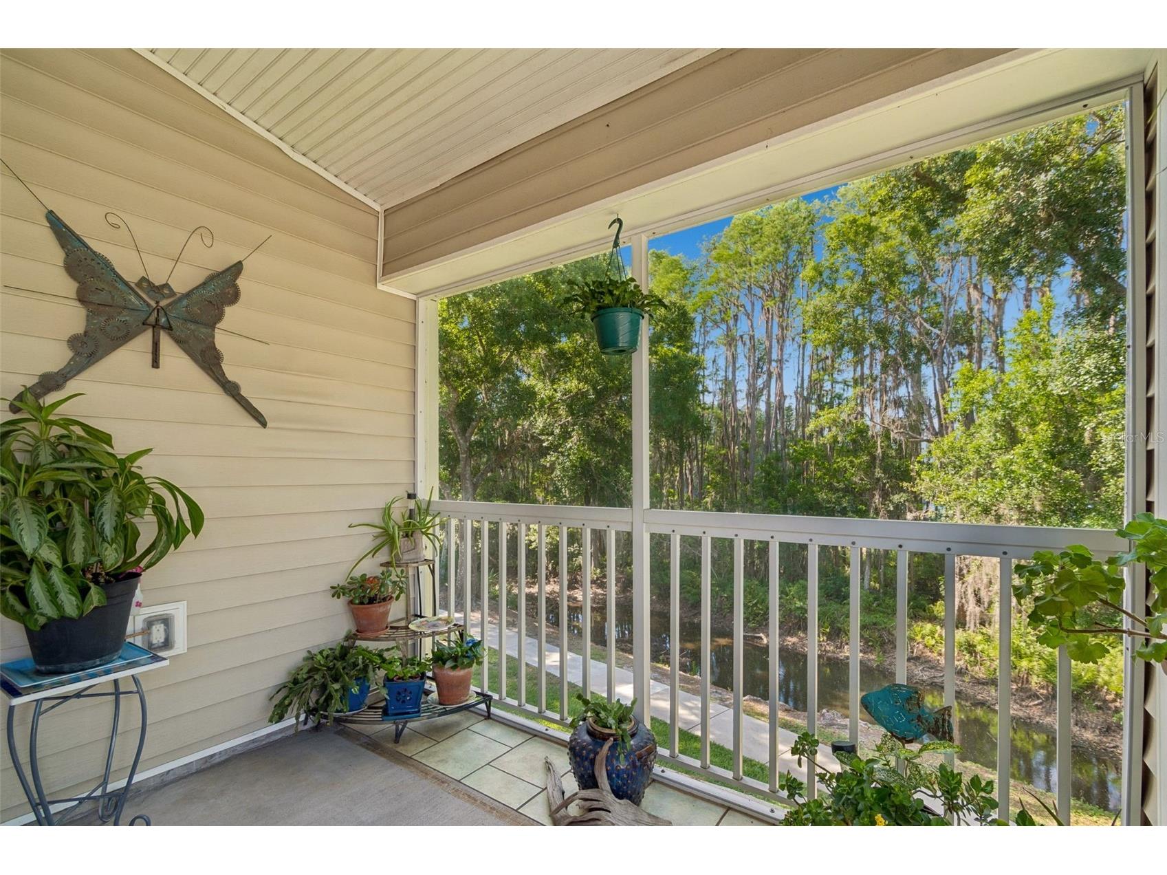 1633 Hammocks Avenue #1633 Lutz FL 33549 - 54-ACRE BIRD LAKE TB8504741 image38