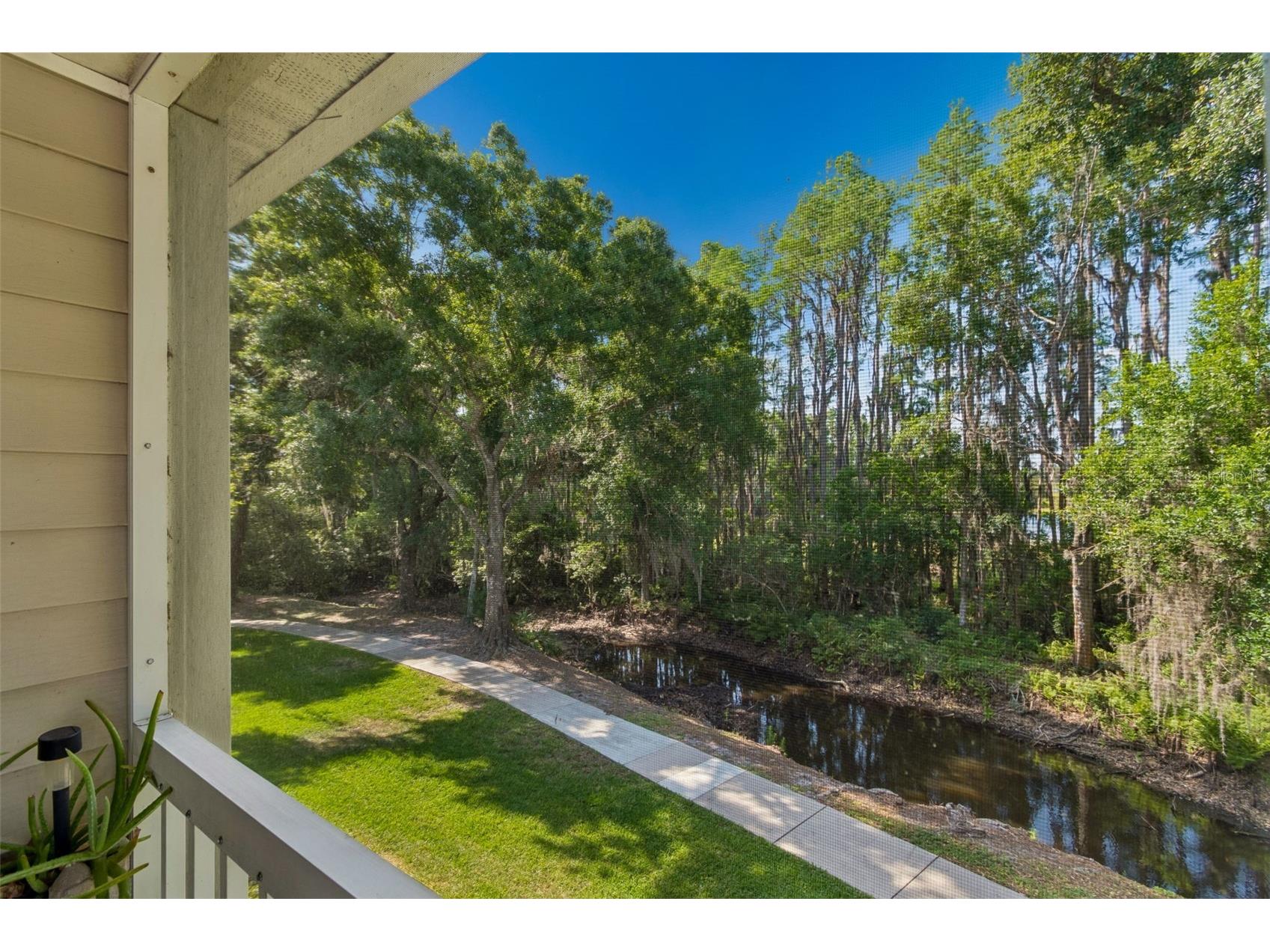 1633 Hammocks Avenue #1633 Lutz FL 33549 - 54-ACRE BIRD LAKE TB8504741 image39