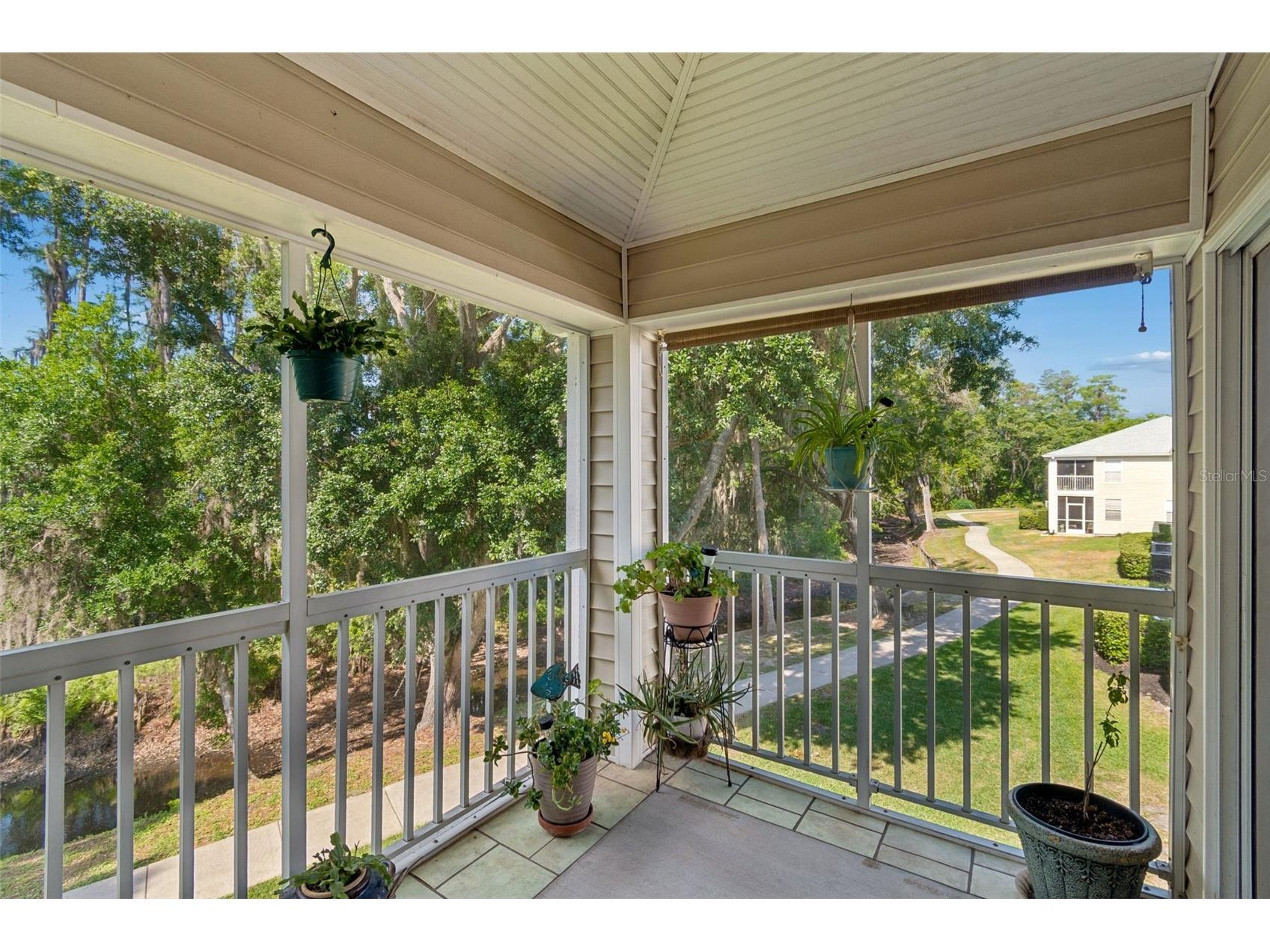 1633 Hammocks Avenue #1633 Lutz FL 33549 - 54-ACRE BIRD LAKE TB8504741 image40