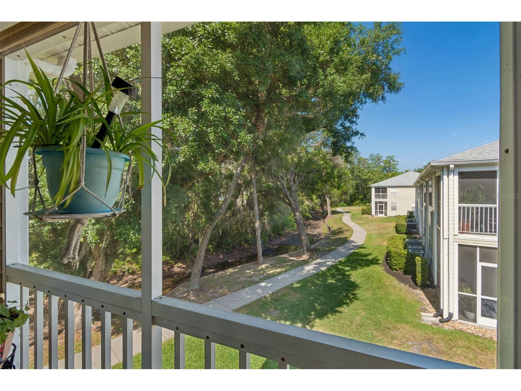 1633 Hammocks Avenue #1633 Lutz FL 33549 - 54-ACRE BIRD LAKE TB8504741 image41