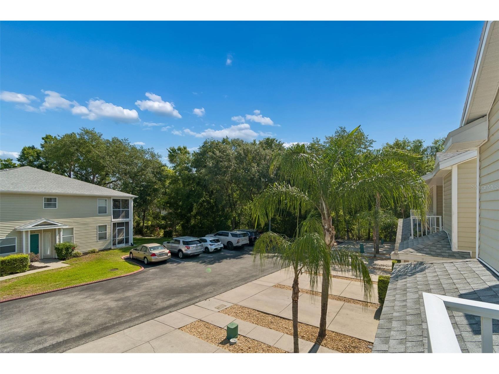 1633 Hammocks Avenue #1633 Lutz FL 33549 - 54-ACRE BIRD LAKE TB8504741 image45