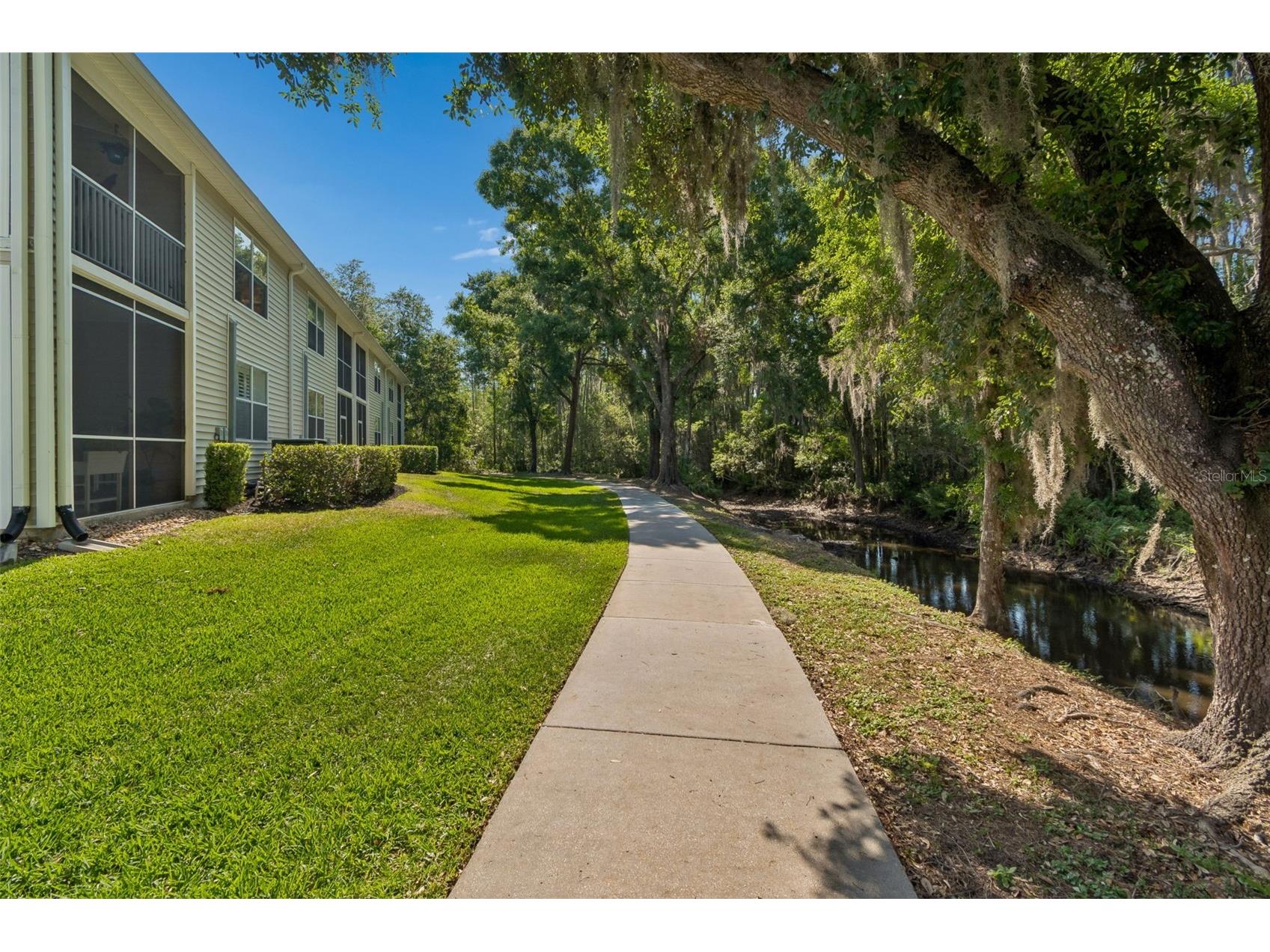 1633 Hammocks Avenue #1633 Lutz FL 33549 - 54-ACRE BIRD LAKE TB8504741 image47