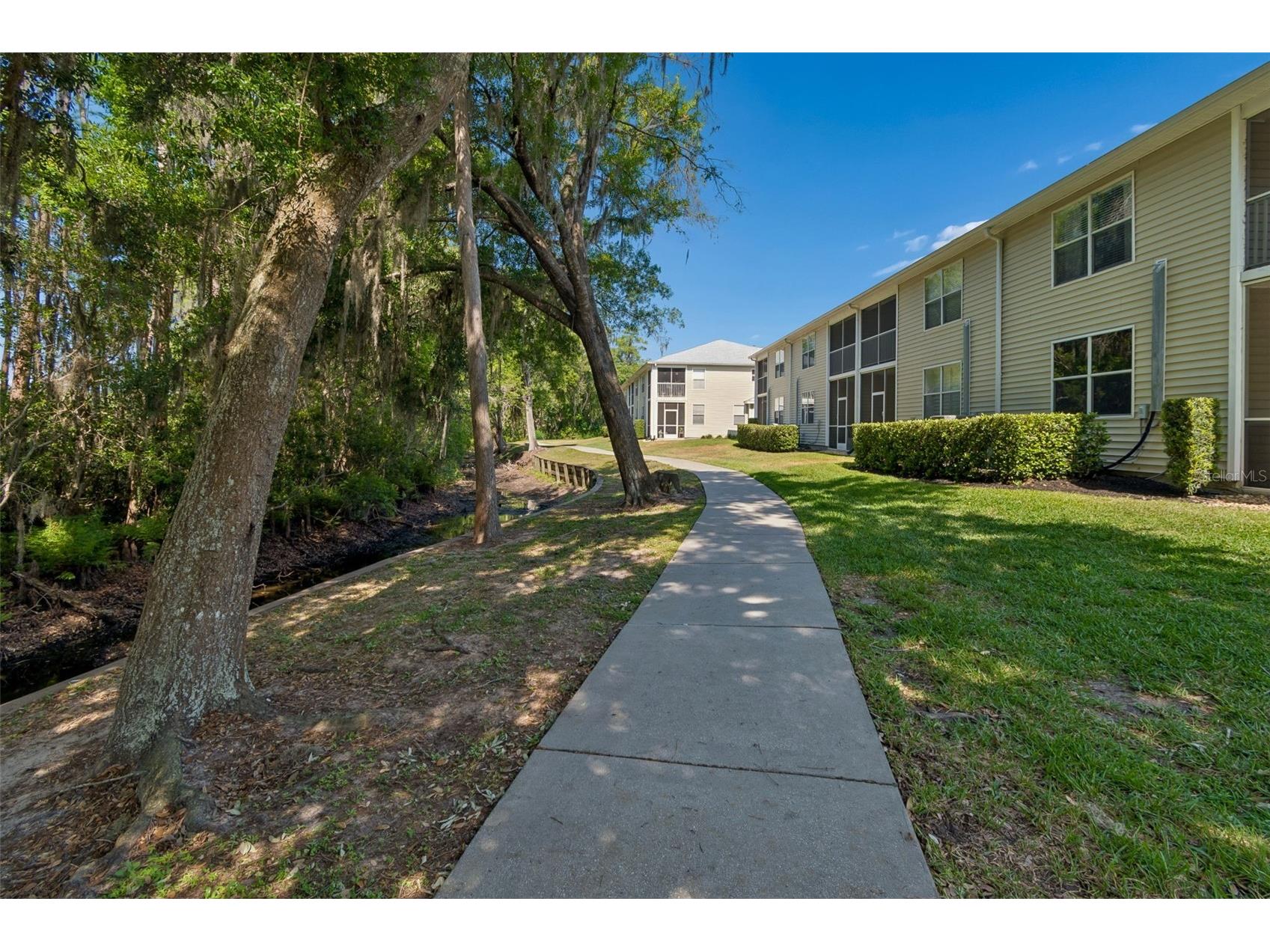 1633 Hammocks Avenue #1633 Lutz FL 33549 - 54-ACRE BIRD LAKE TB8504741 image49