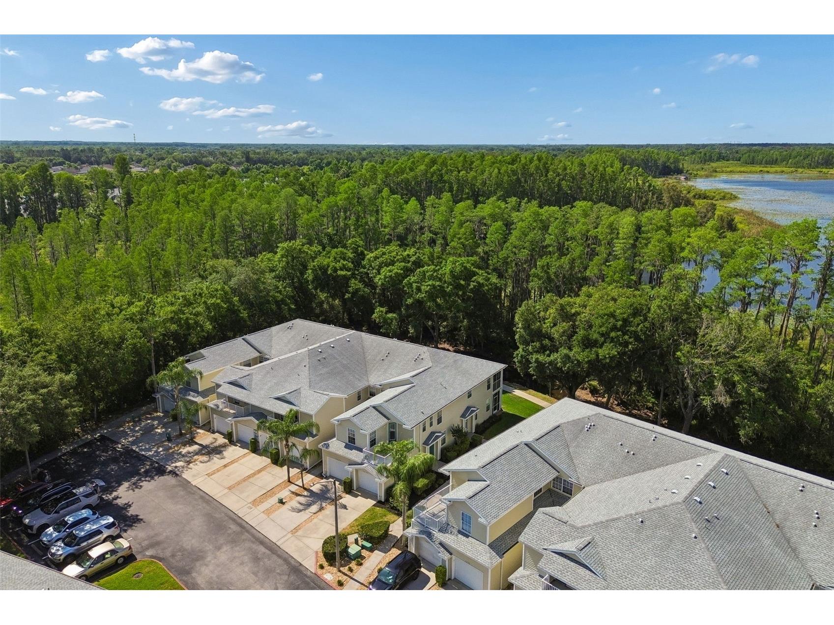 1633 Hammocks Avenue #1633 Lutz FL 33549 - 54-ACRE BIRD LAKE TB8504741 image52