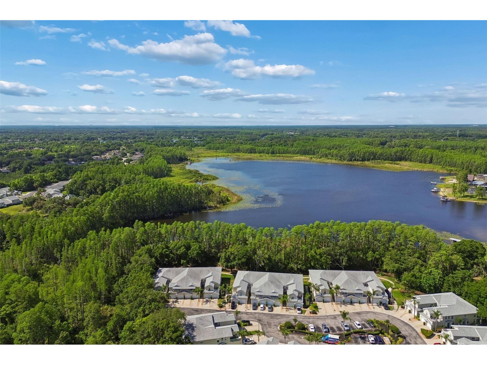 1633 Hammocks Avenue #1633 Lutz FL 33549 - 54-ACRE BIRD LAKE TB8504741 image53