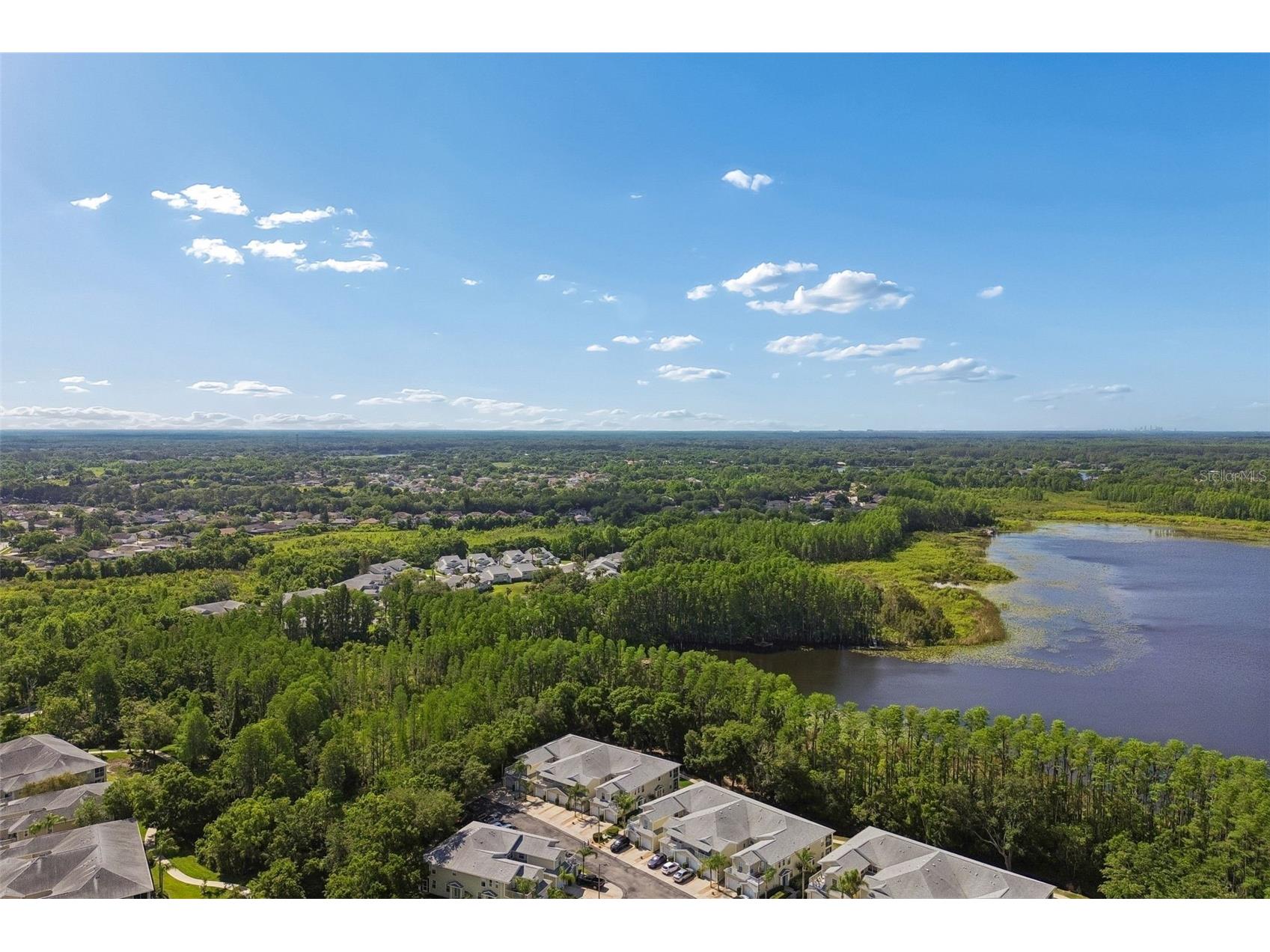 1633 Hammocks Avenue #1633 Lutz FL 33549 - 54-ACRE BIRD LAKE TB8504741 image54