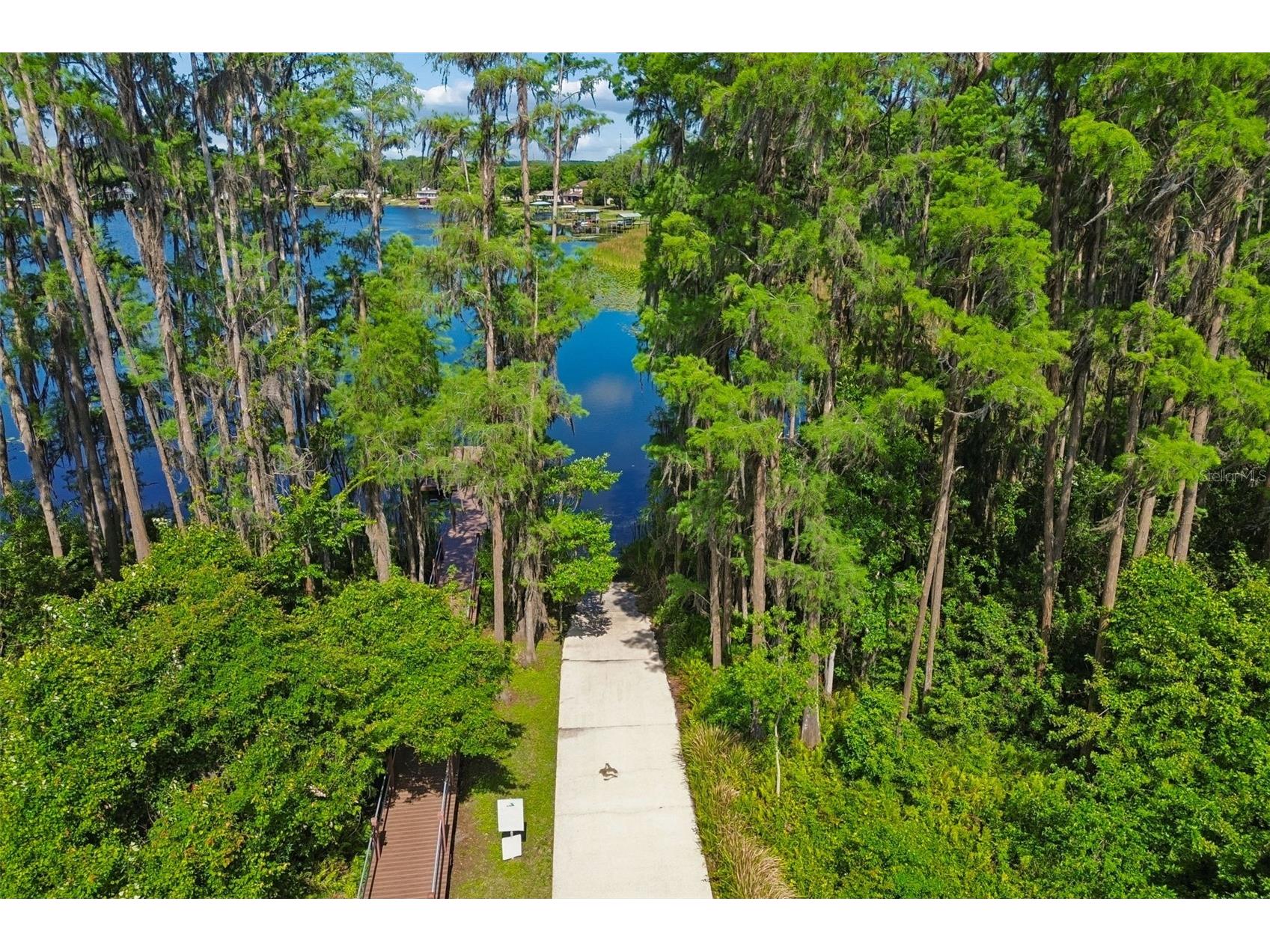 1633 Hammocks Avenue #1633 Lutz FL 33549 - 54-ACRE BIRD LAKE TB8504741 image58