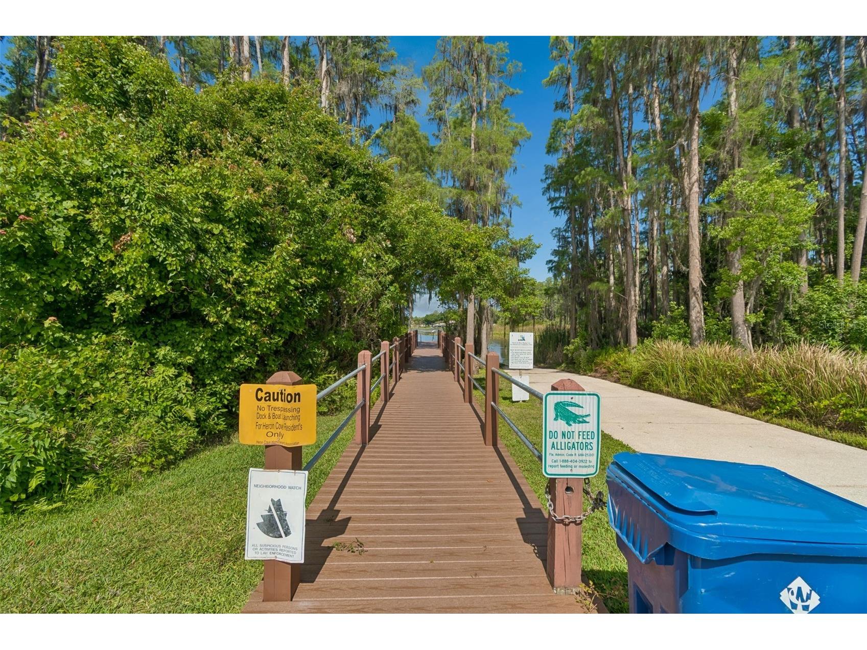 1633 Hammocks Avenue #1633 Lutz FL 33549 - 54-ACRE BIRD LAKE TB8504741 image59