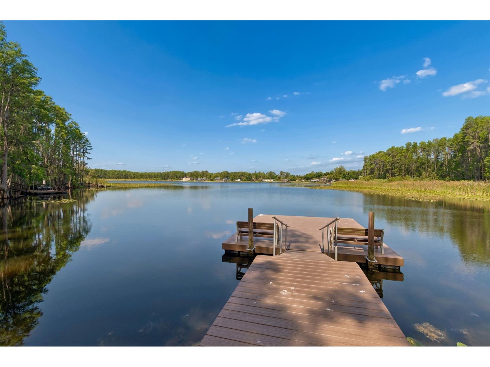 1633 Hammocks Avenue #1633 Lutz FL 33549 - 54-ACRE BIRD LAKE TB8504741 image60