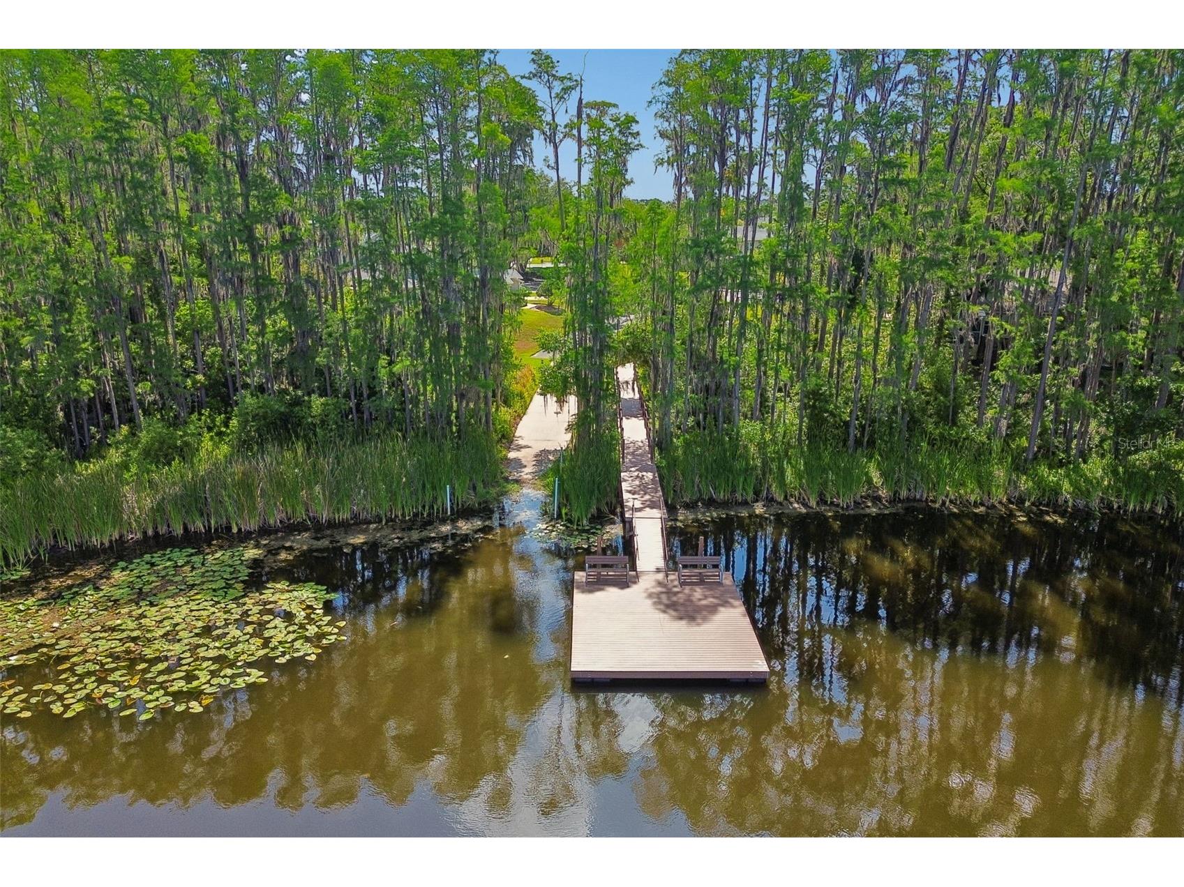 1633 Hammocks Avenue #1633 Lutz FL 33549 - 54-ACRE BIRD LAKE TB8504741 image61