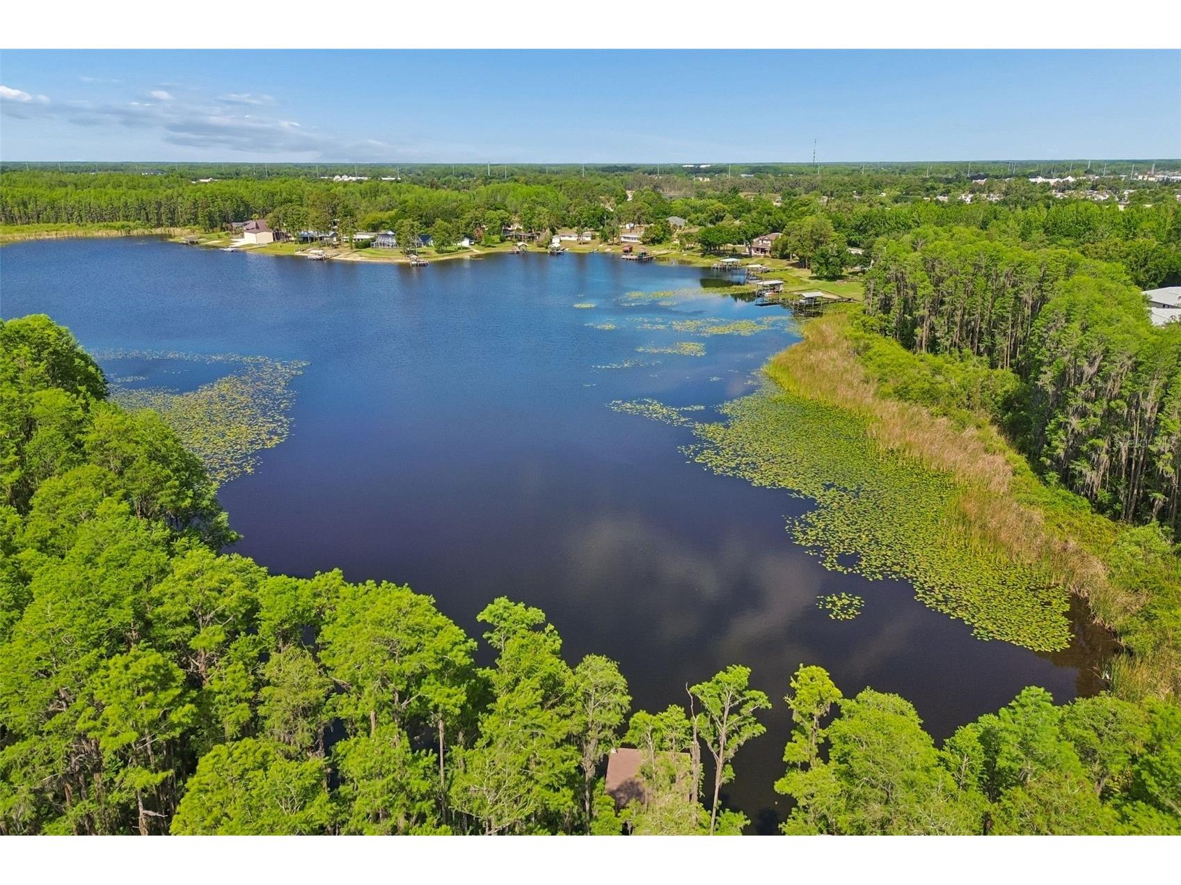 1633 Hammocks Avenue #1633 Lutz FL 33549 - 54-ACRE BIRD LAKE TB8504741 image62