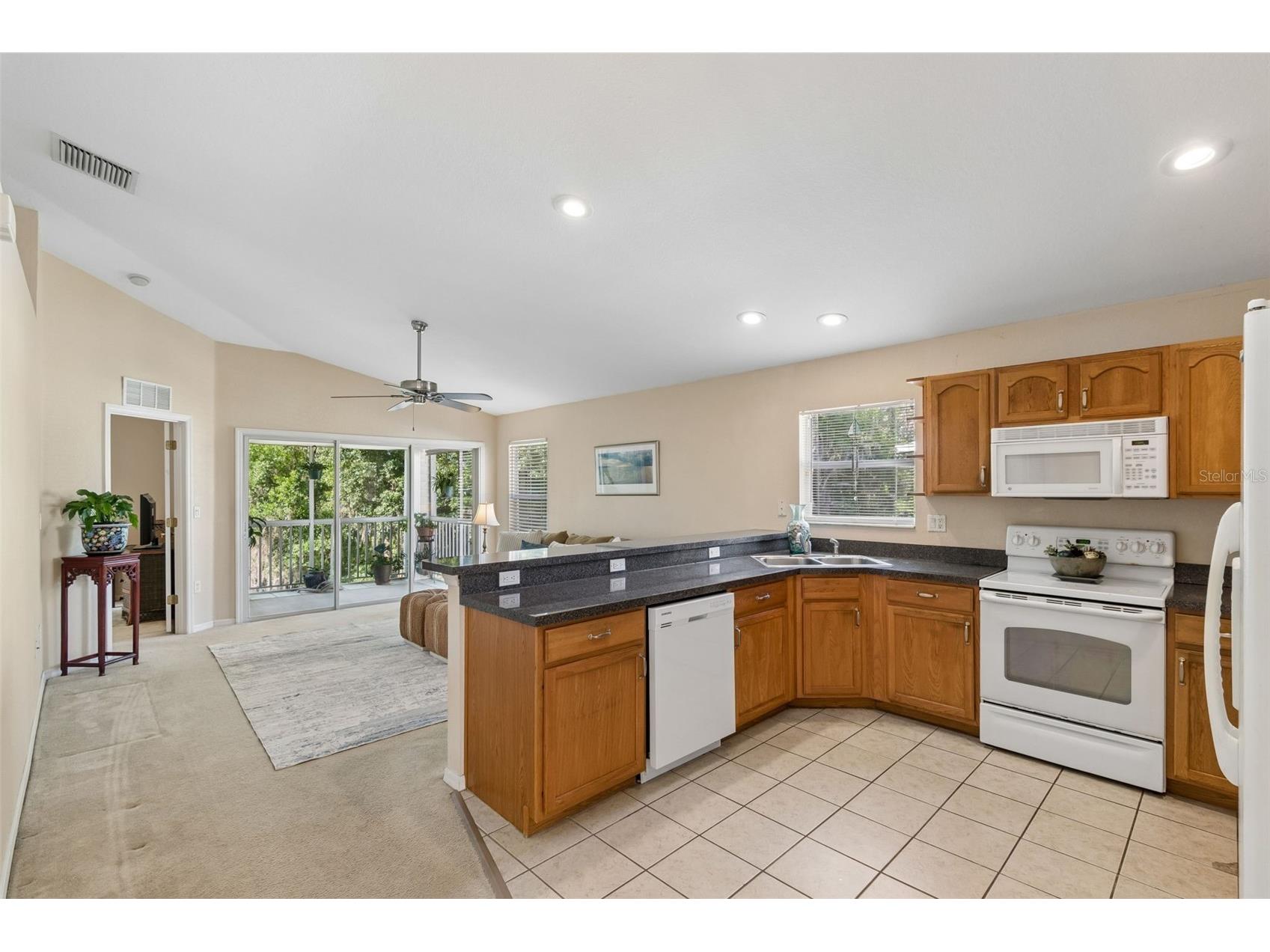 1633 Hammocks Avenue #1633 Lutz FL 33549 - 54-ACRE BIRD LAKE TB8504741 image9