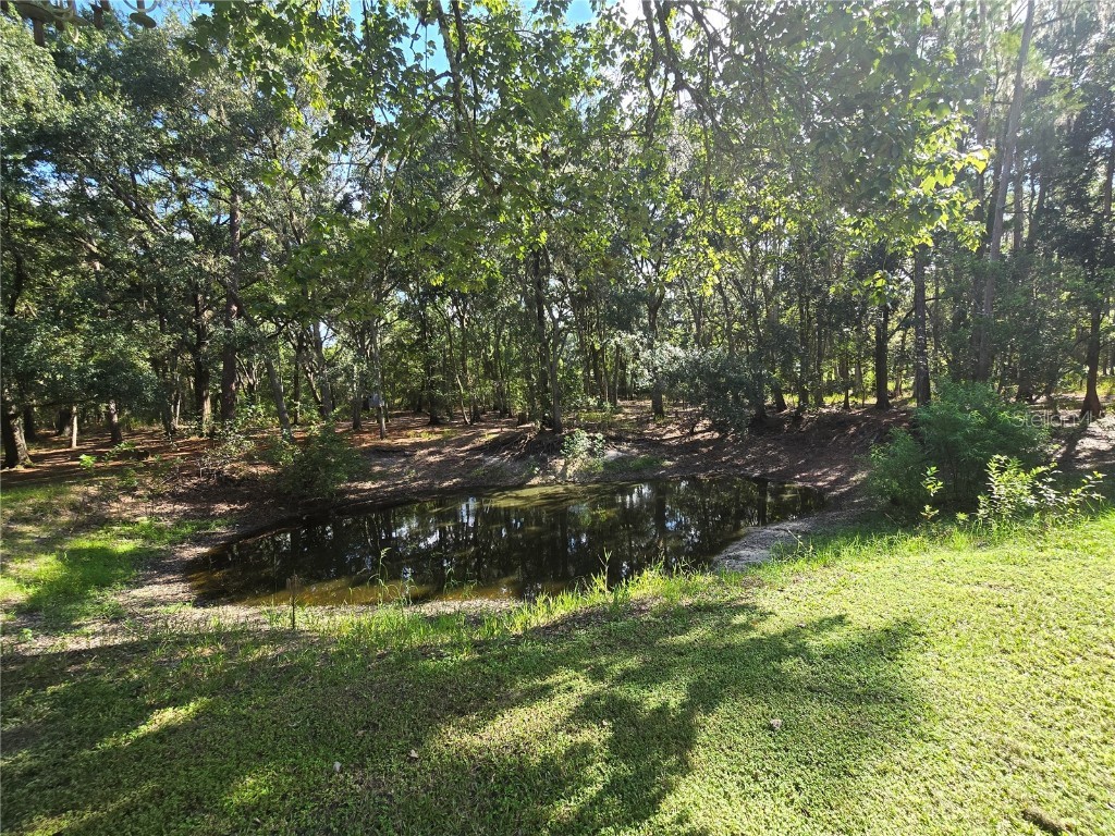 1633 Pioneer Drive Lakeland FL 33809 C7513849 image38