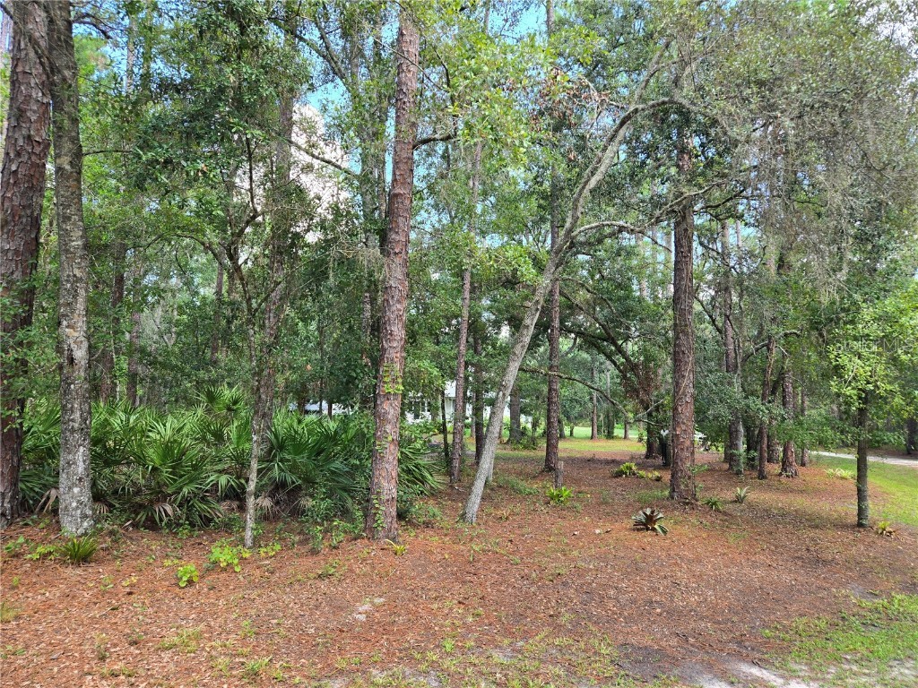 1633 Pioneer Drive Lakeland FL 33809 C7513849 image40