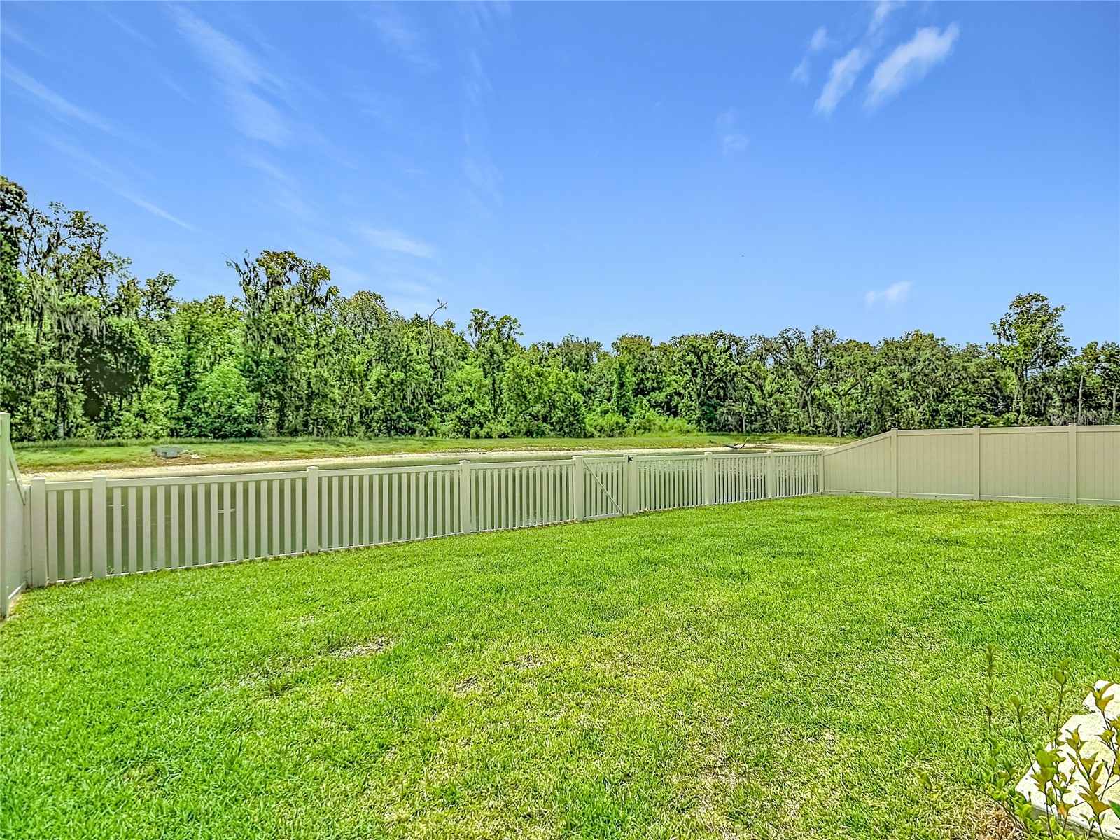 1633 Red Loop Lakeland FL 33801 O6409707 image43