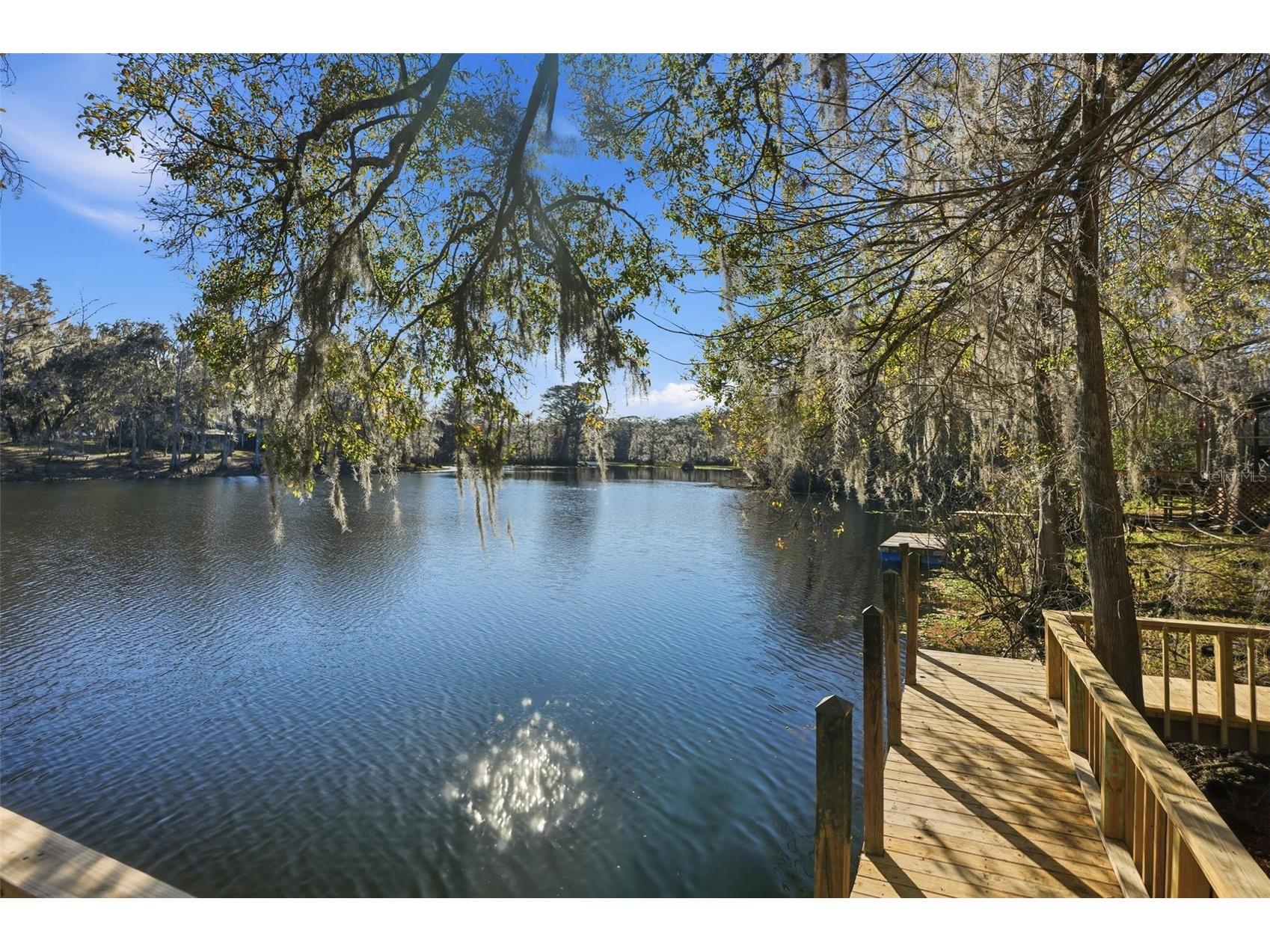 16330 Daviston Lane Brooksville FL 34601 - WITHLACOOCHEE TB8469988 image23