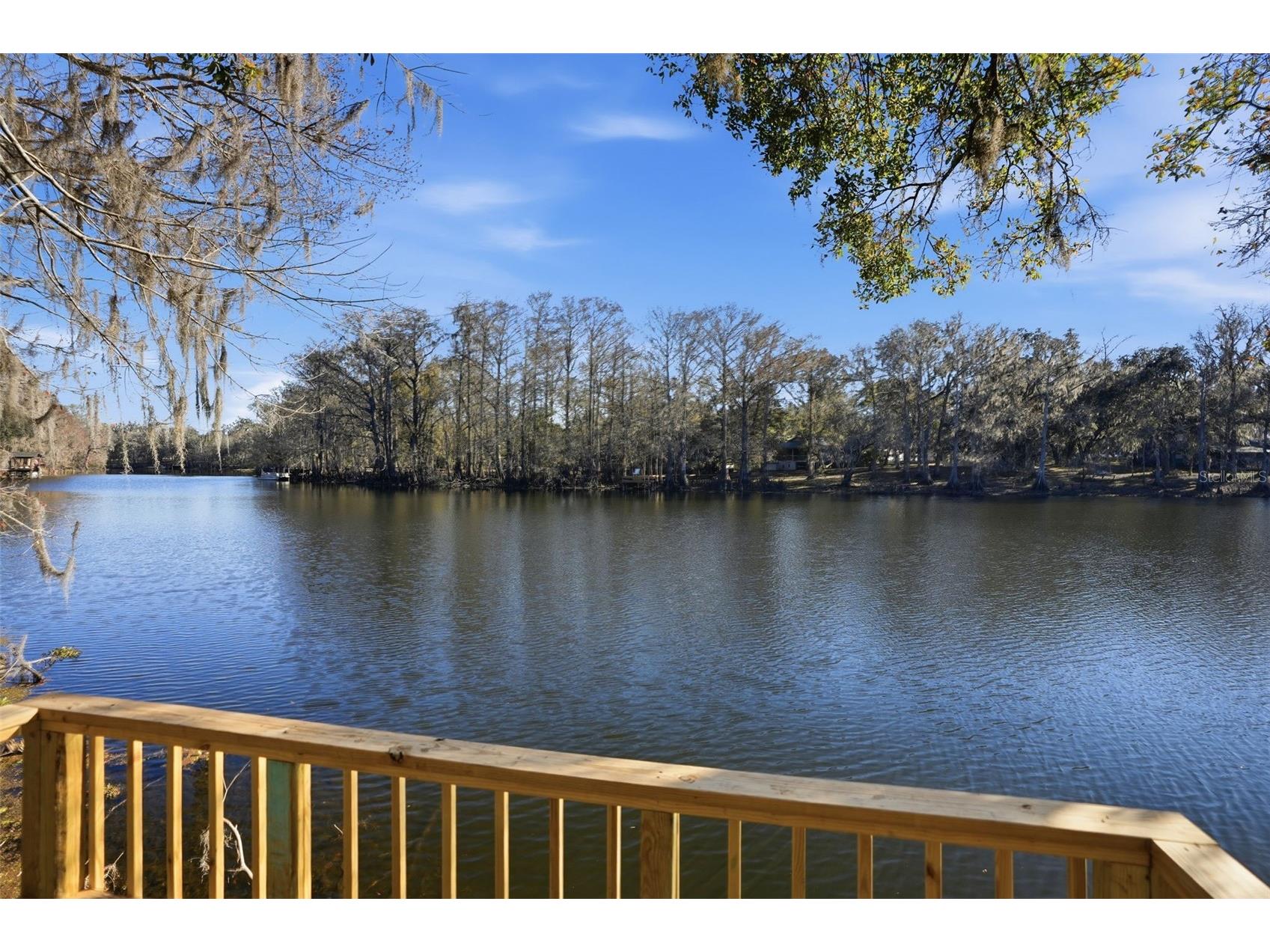 16330 Daviston Lane Brooksville FL 34601 - WITHLACOOCHEE TB8469988 image24
