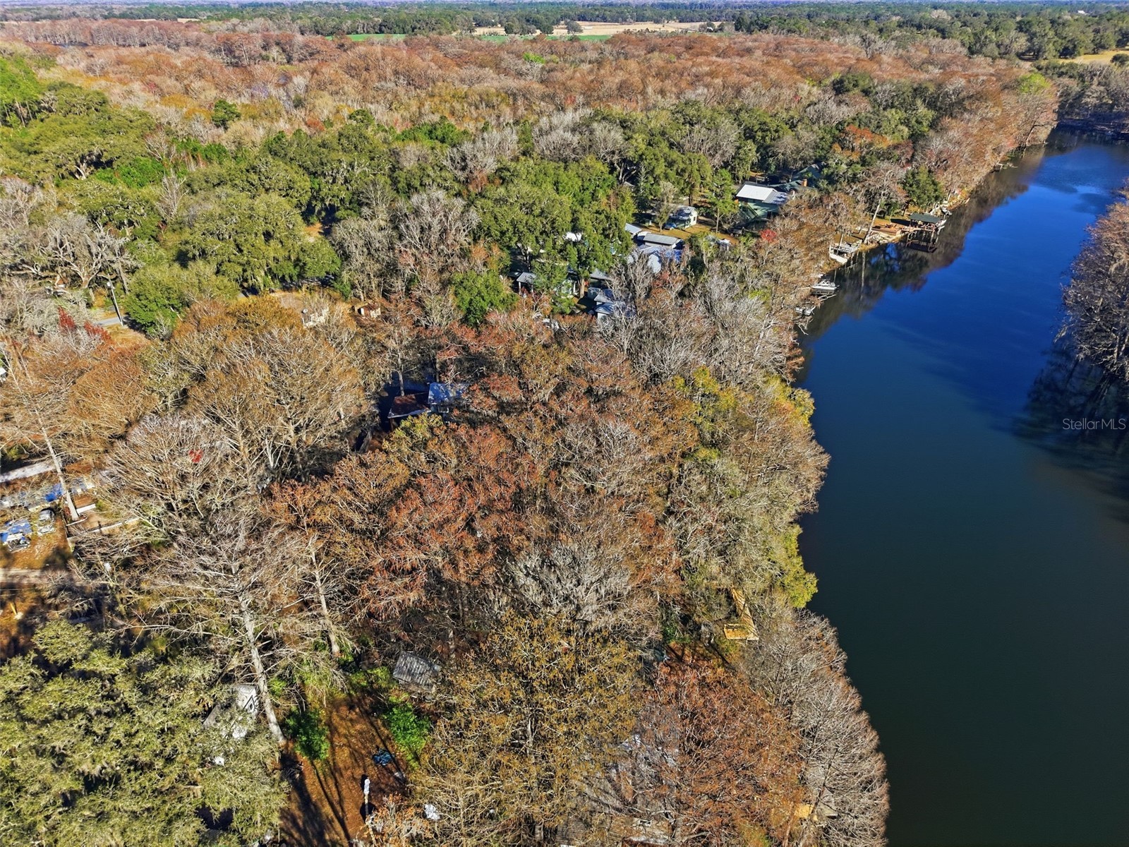 16330 Daviston Lane Brooksville FL 34601 - WITHLACOOCHEE TB8469988 image28
