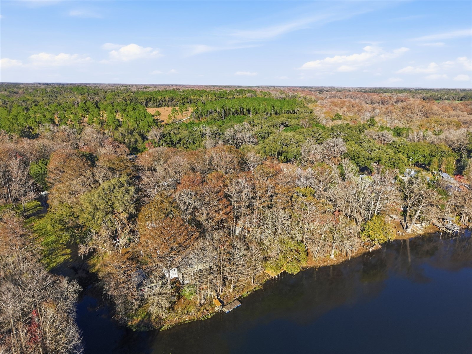 16330 Daviston Lane Brooksville FL 34601 - WITHLACOOCHEE TB8469988 image29
