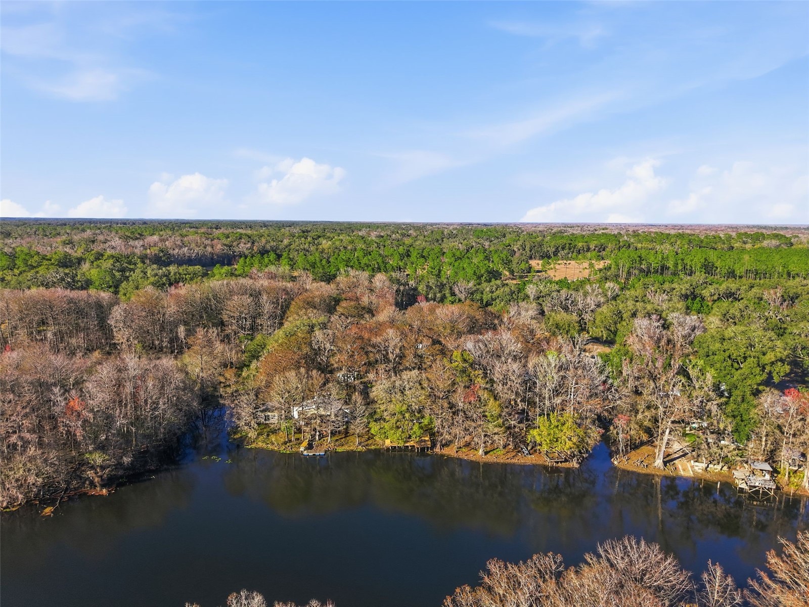 16330 Daviston Lane Brooksville FL 34601 - WITHLACOOCHEE TB8469988 image30