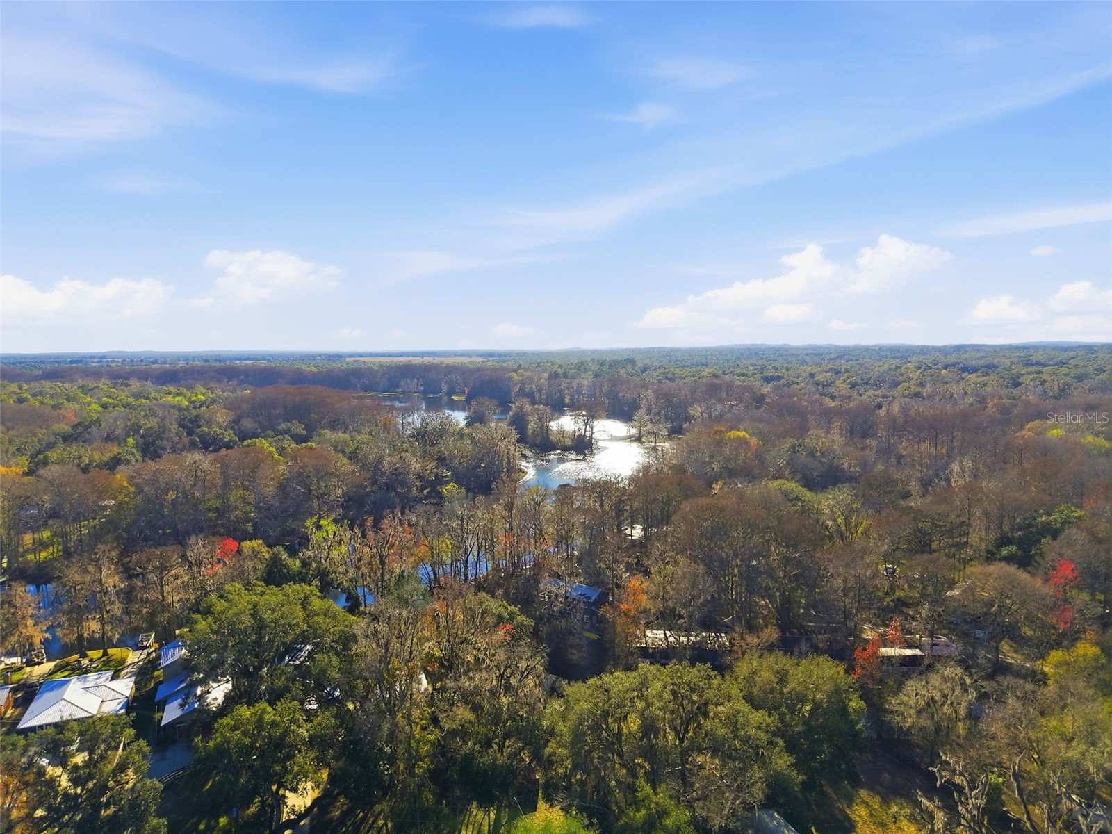 16330 Daviston Lane Brooksville FL 34601 - WITHLACOOCHEE TB8469988 image33