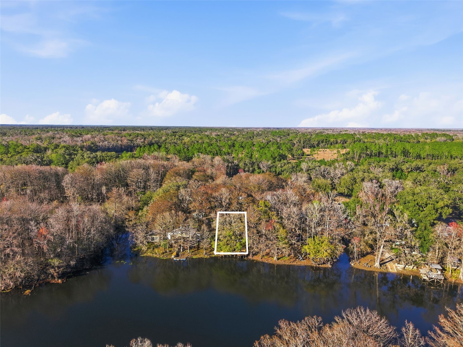 16330 Daviston Lane Brooksville FL 34601 - WITHLACOOCHEE TB8469988 image37
