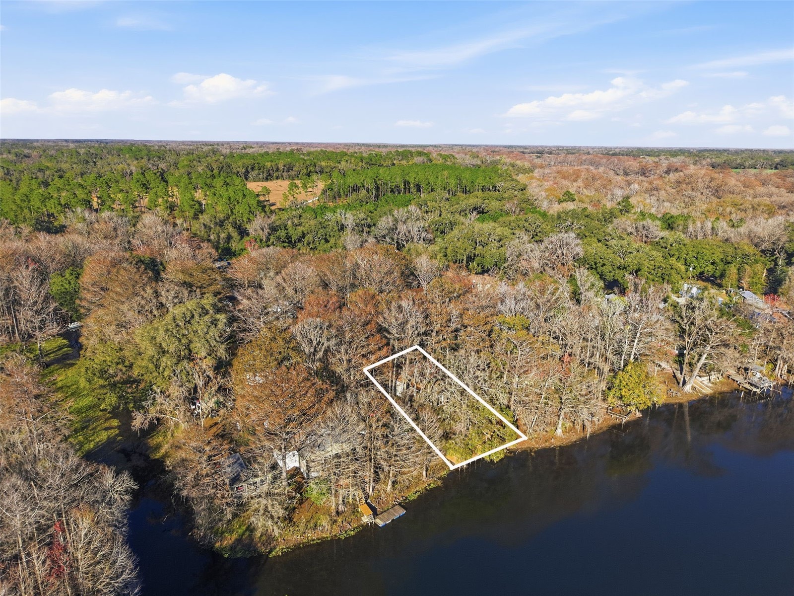 16330 Daviston Lane Brooksville FL 34601 - WITHLACOOCHEE TB8469988 image38