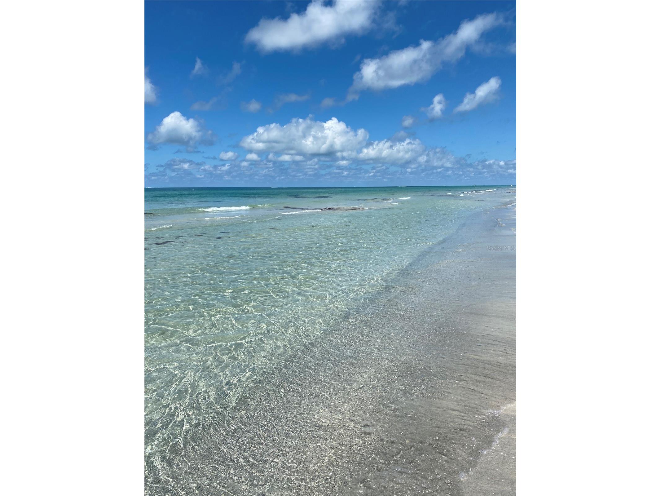 16330 Gulf Boulevard #306 Redington Beach FL 33708 - GULF TB8475022 image34