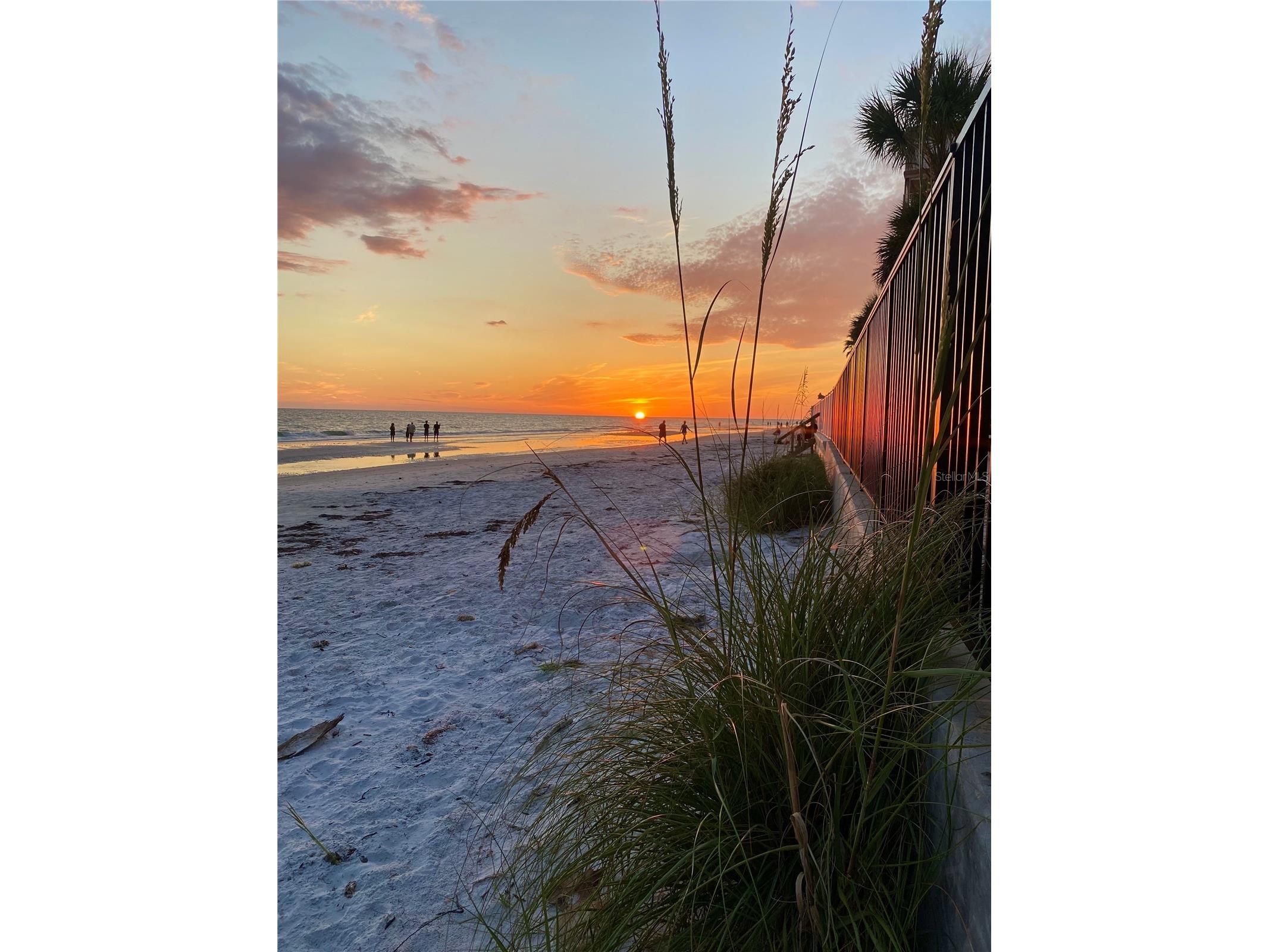 16330 Gulf Boulevard #306 Redington Beach FL 33708 - GULF TB8519973 image43
