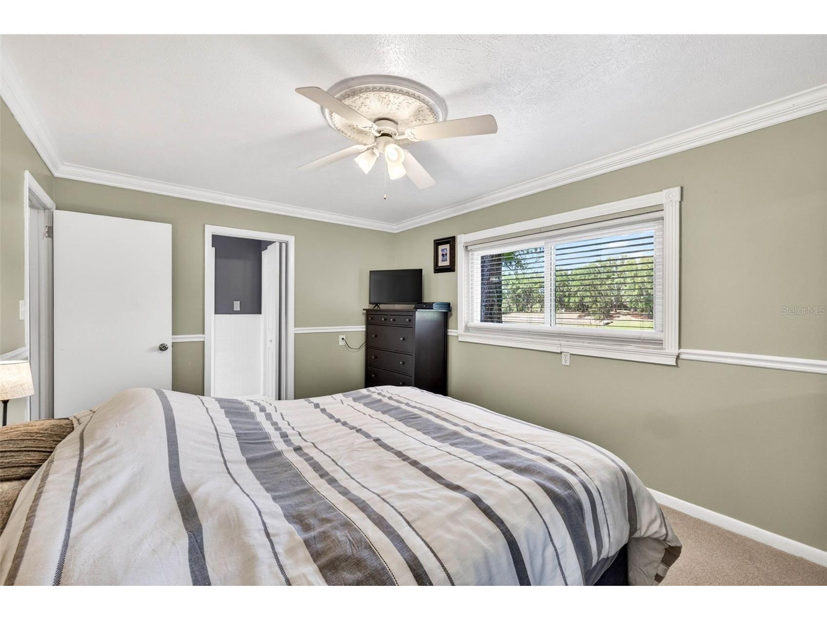 16330 Hanna Road Lutz FL 33549 TB8483225 image23
