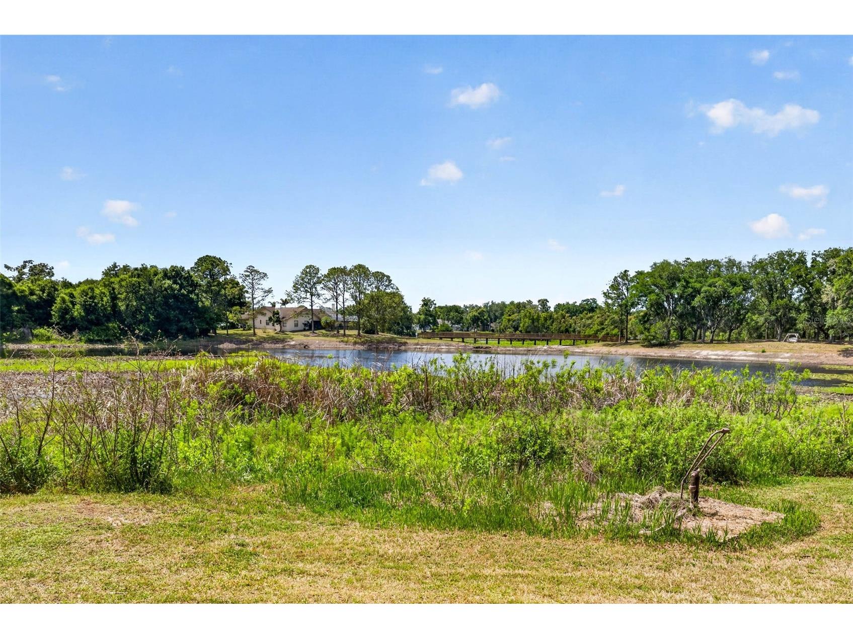 16330 Hanna Road Lutz FL 33549 TB8483225 image3