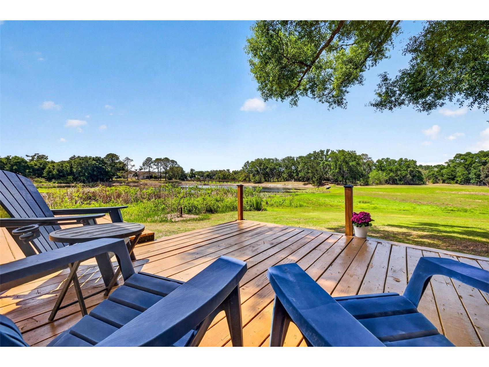 16330 Hanna Road Lutz FL 33549 TB8483225 image32