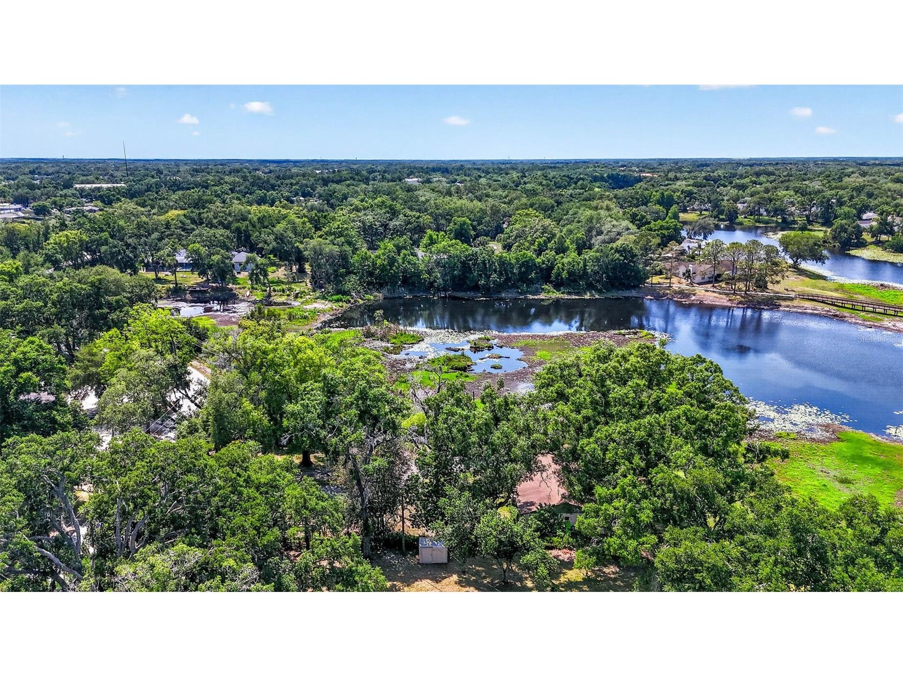 16330 Hanna Road Lutz FL 33549 TB8483225 image34