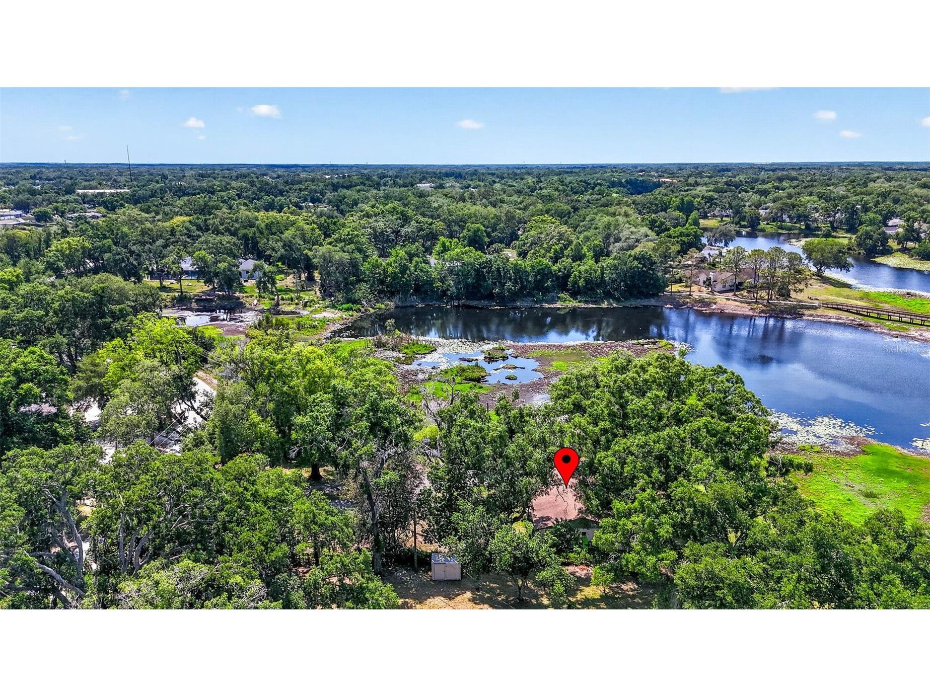 16330 Hanna Road Lutz FL 33549 TB8483225 image35