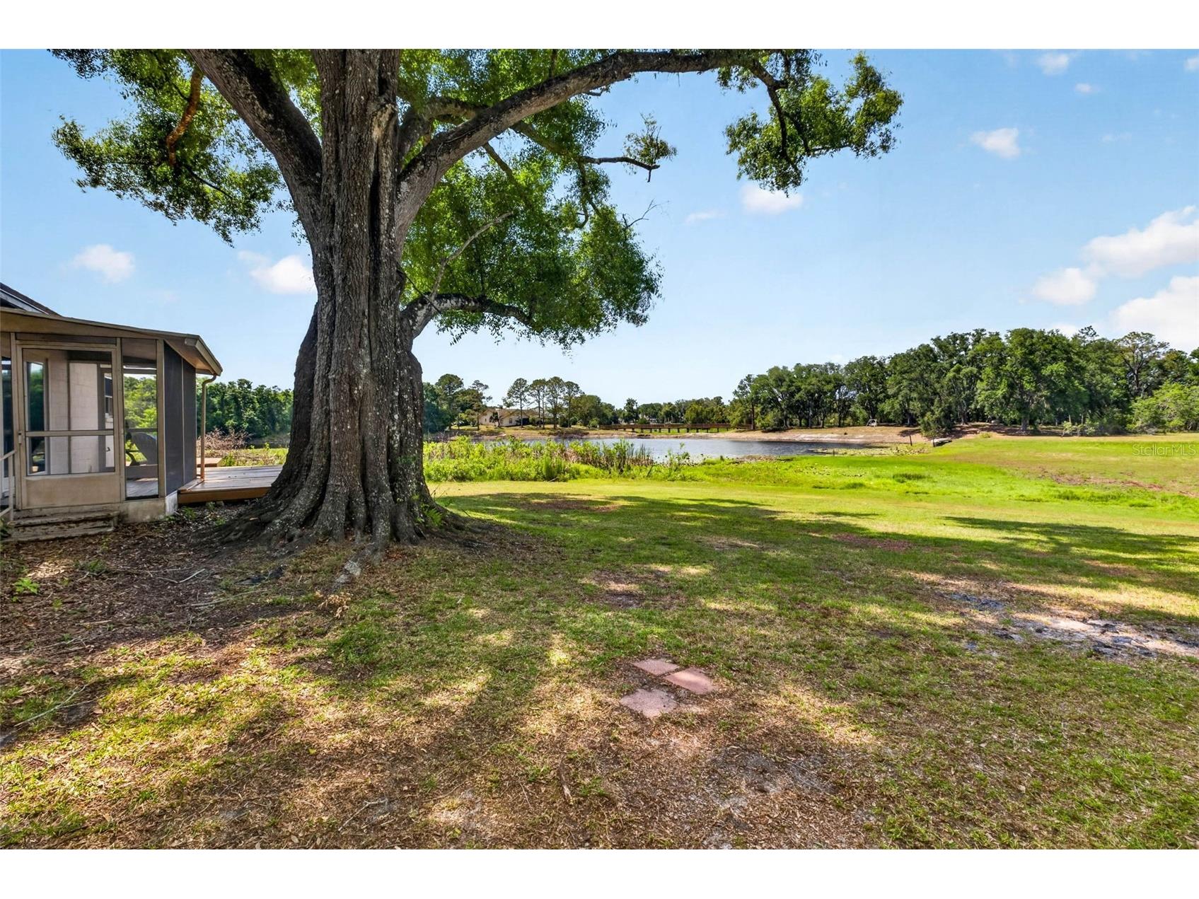 16330 Hanna Road Lutz FL 33549 TB8483225 image38