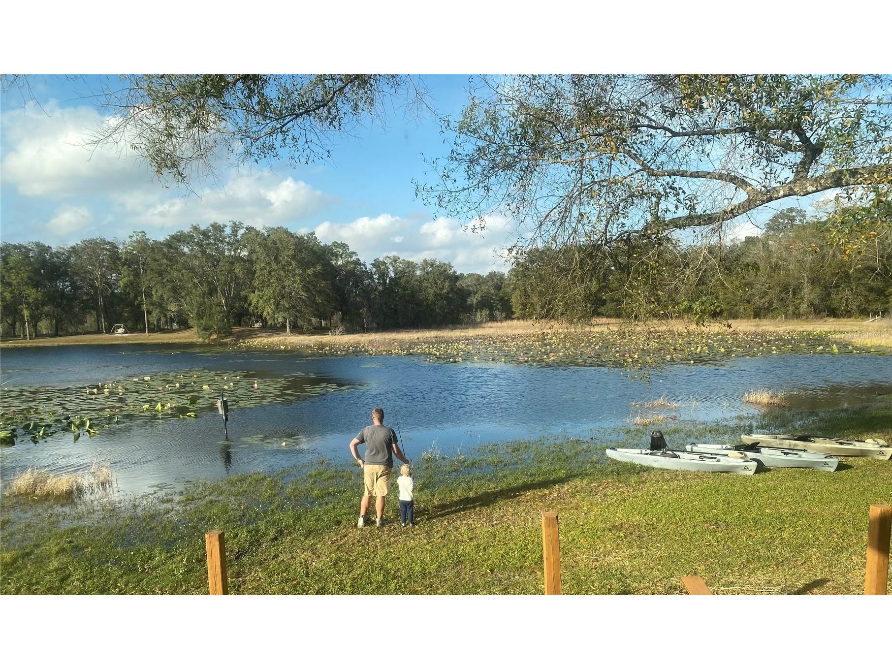 16330 Hanna Road Lutz FL 33549 TB8483225 image40
