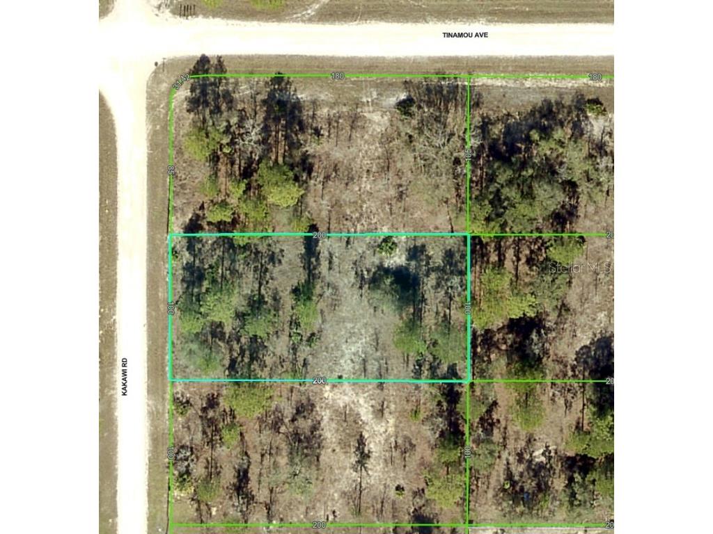 16330 Kakawi Road Brooksville FL 34614 W7873809 image1