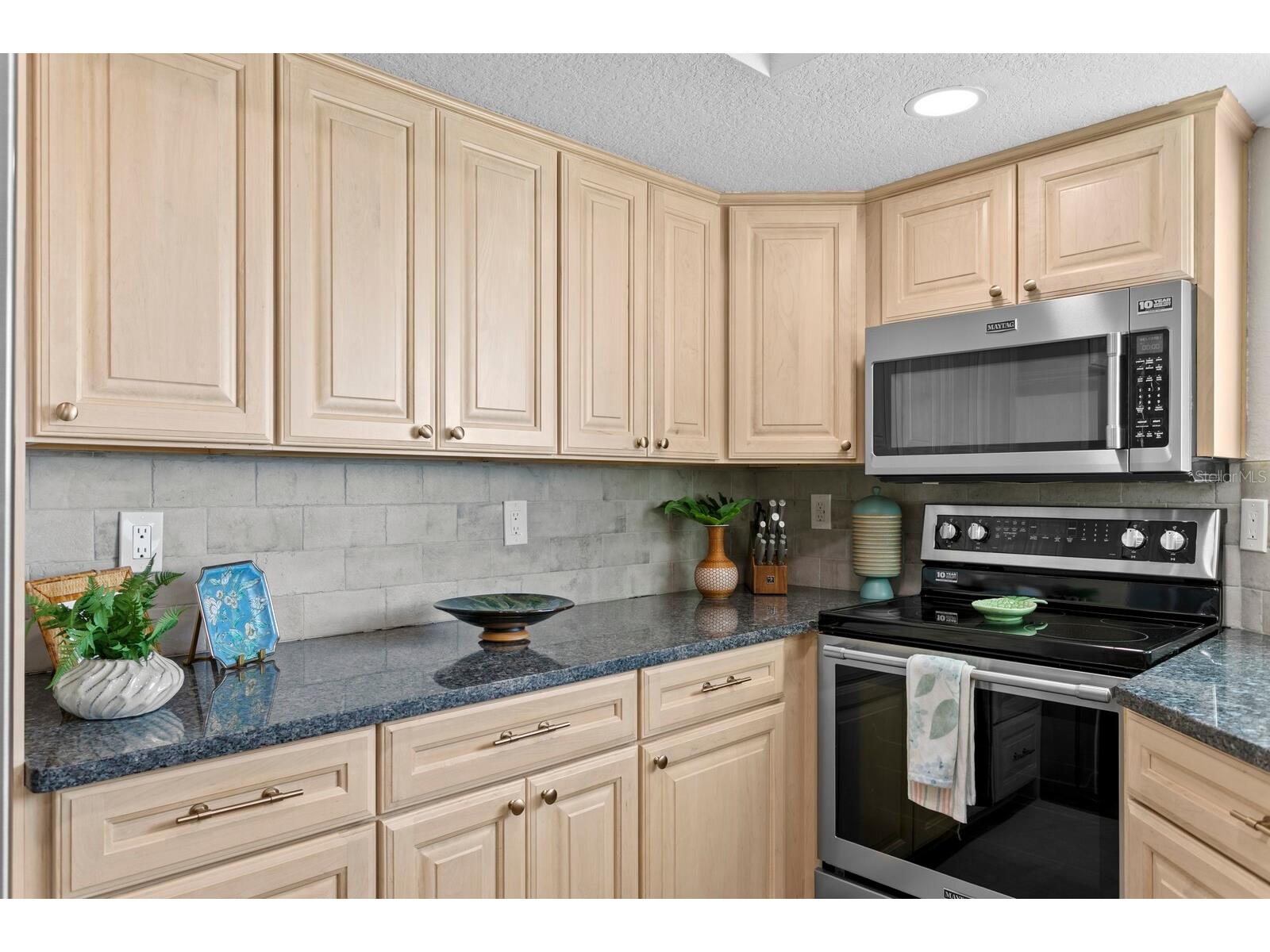 16332 Gulf Boulevard #3B Redington Beach FL 33708 - GULF OF AMERICA L4961408 image20