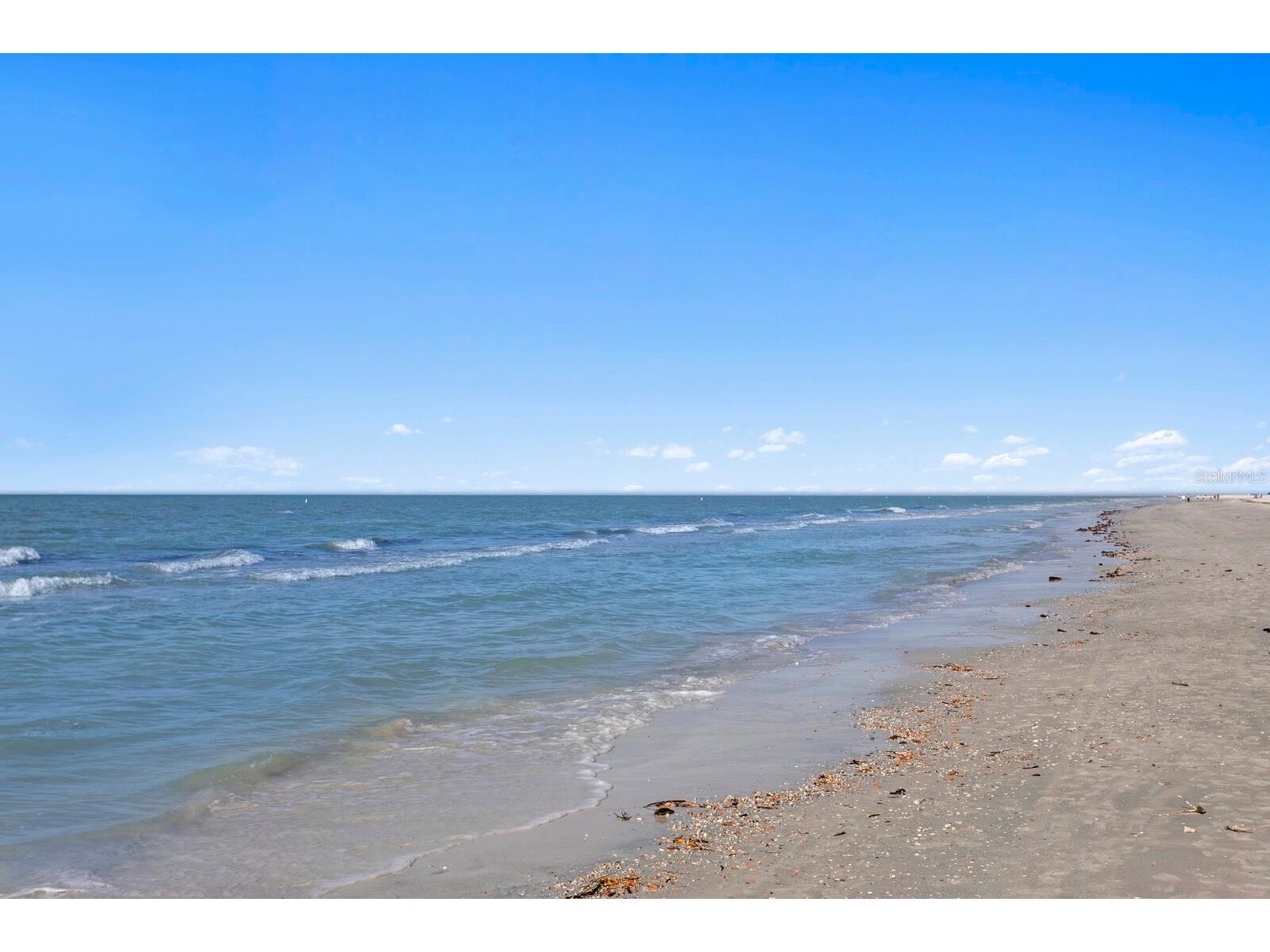 16332 Gulf Boulevard #3B Redington Beach FL 33708 - GULF OF AMERICA L4961408 image63