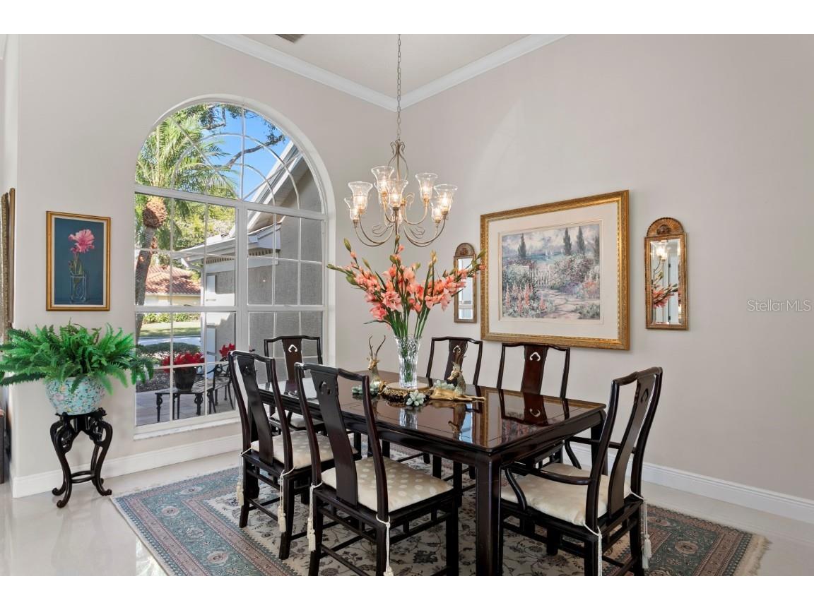 16333 Birkdale Drive Odessa FL 33556 TB8457188 image21